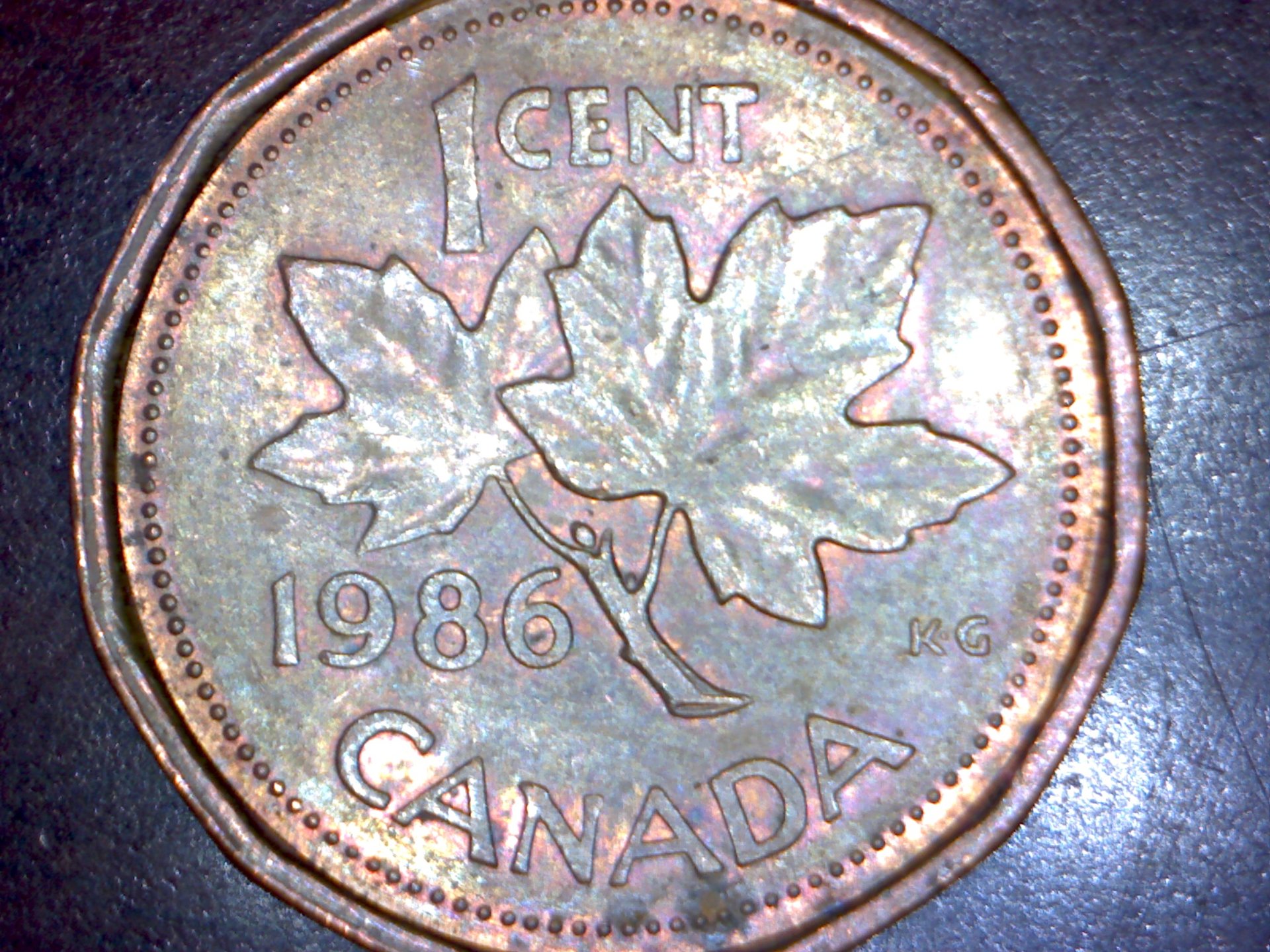 Image500.jpg