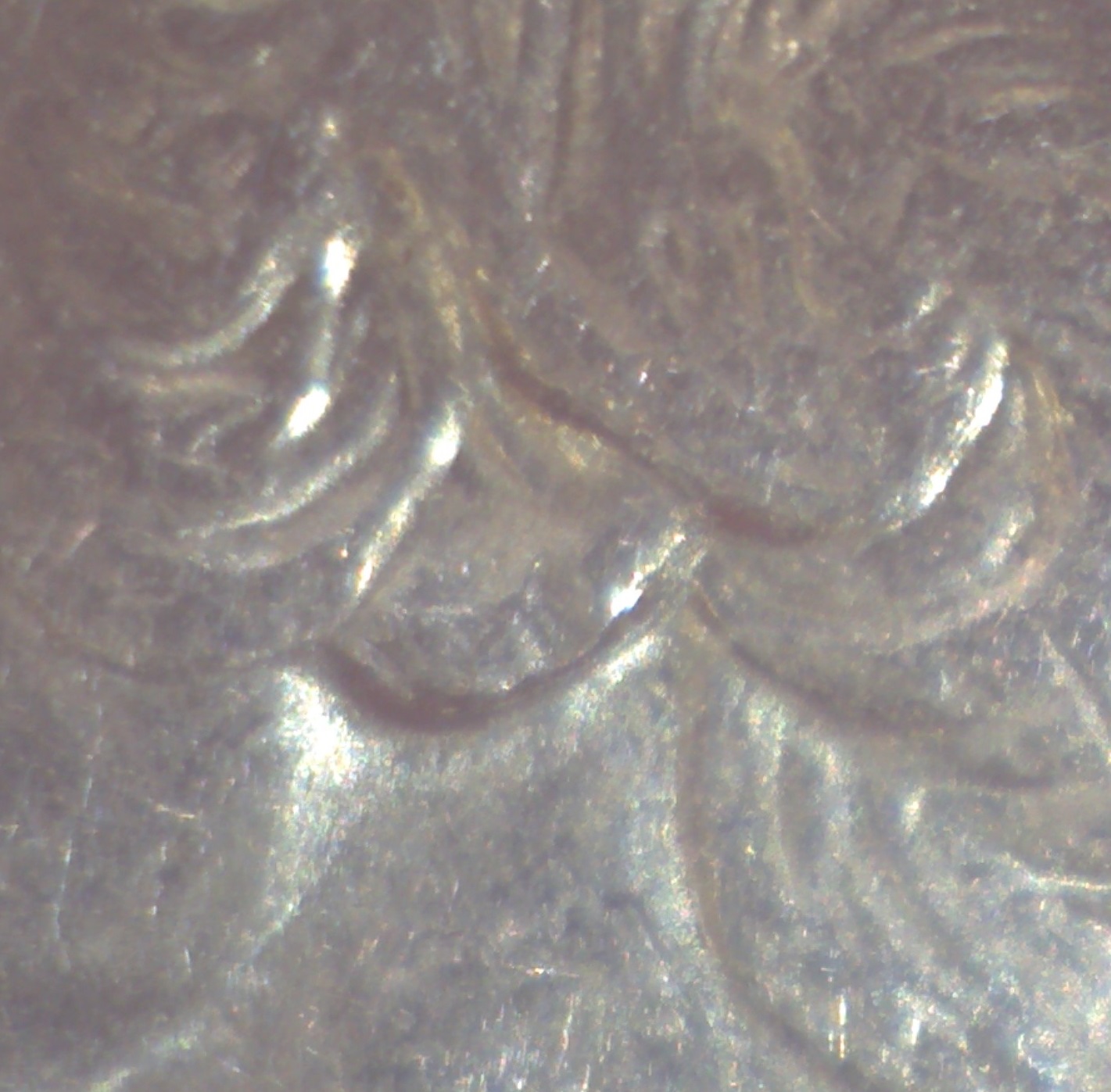 Image534.jpg