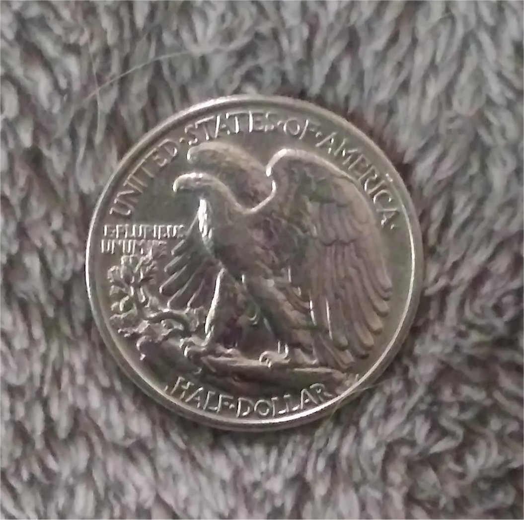Image6.jpg