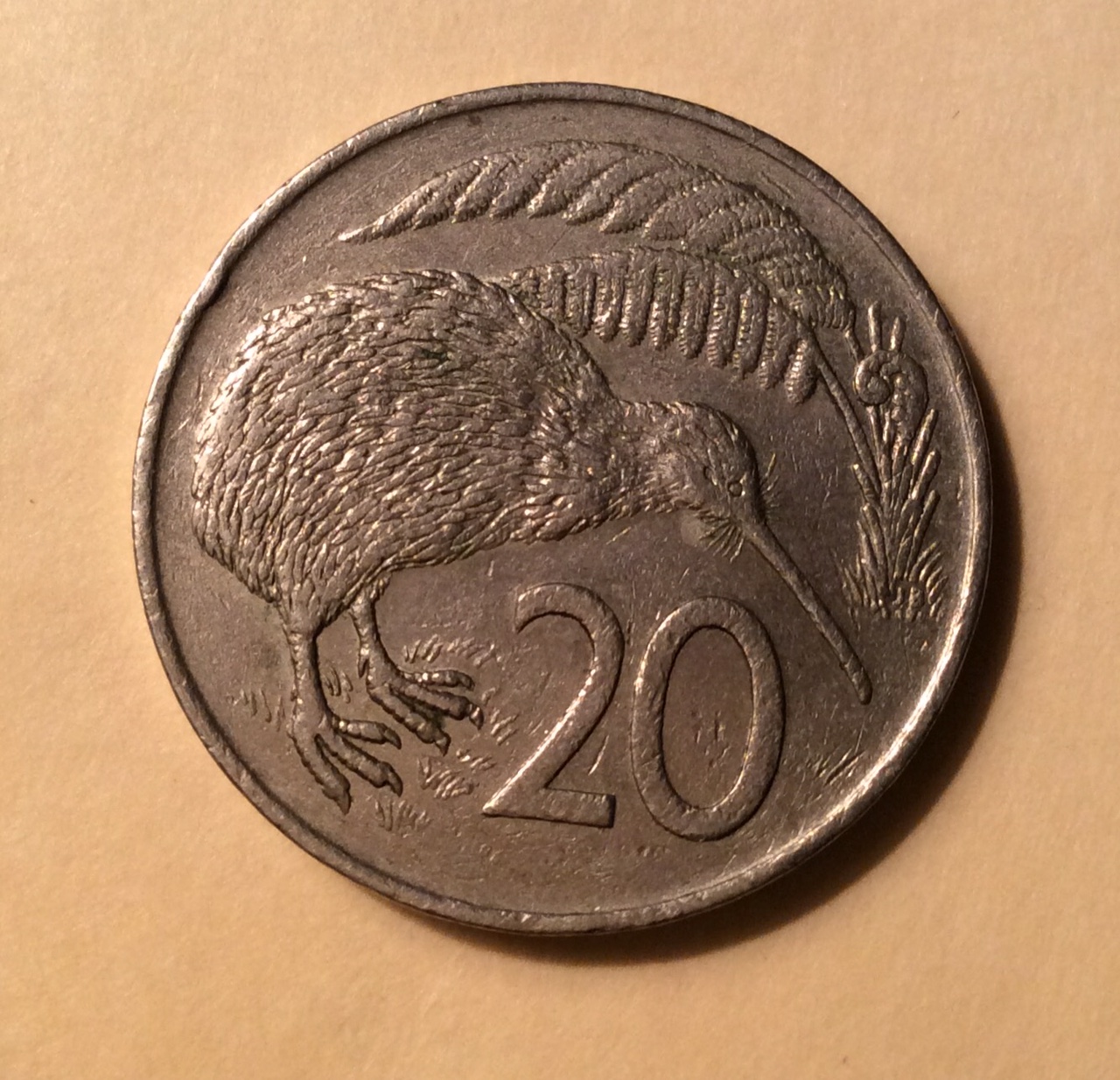 image6.JPG