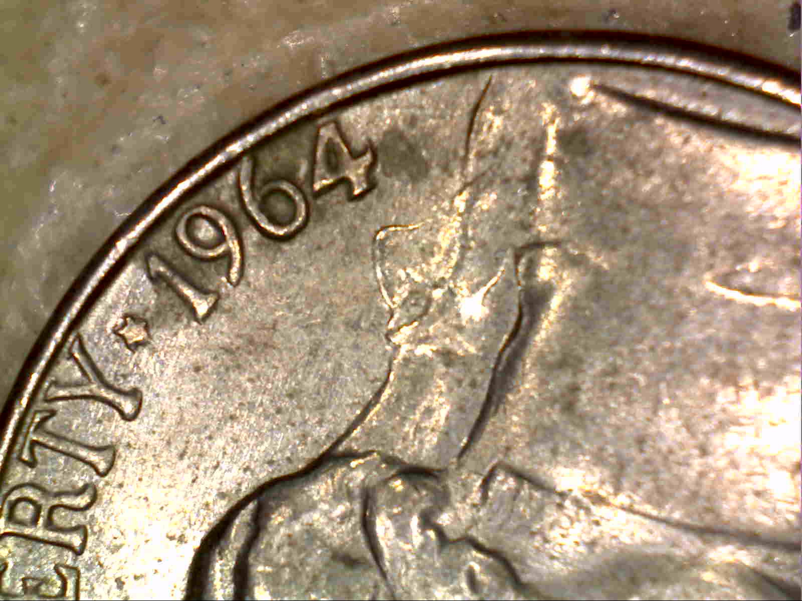 Image61.jpg