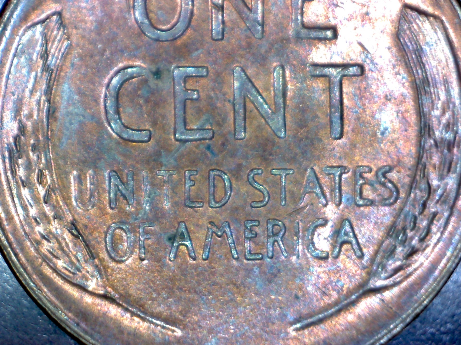 Image611.jpg