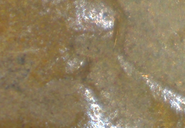 Image64.jpg