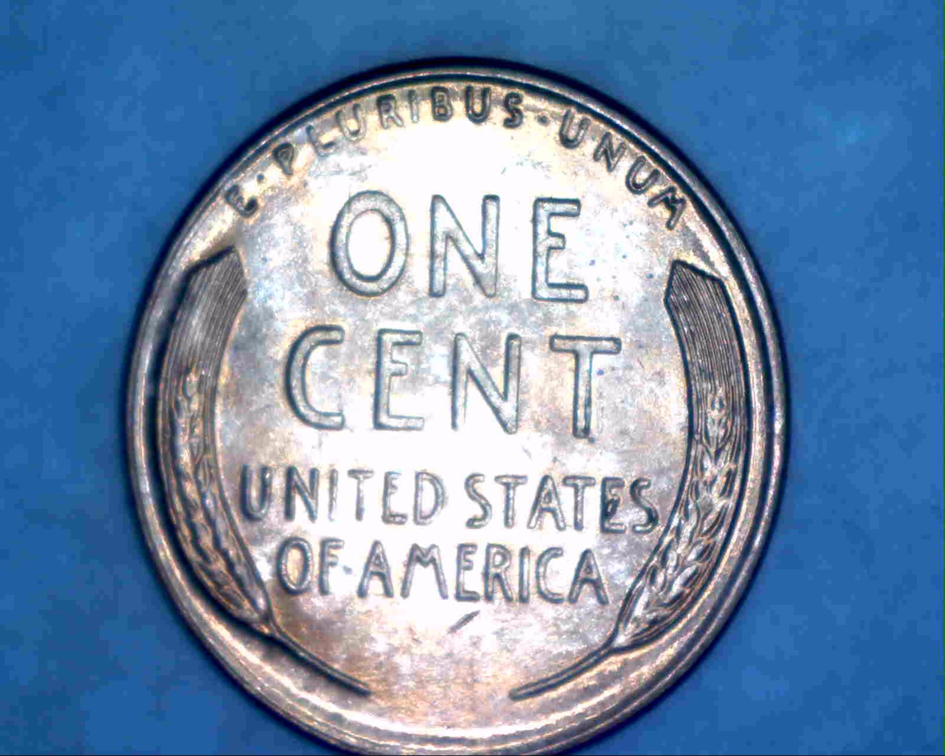 Image66.jpg