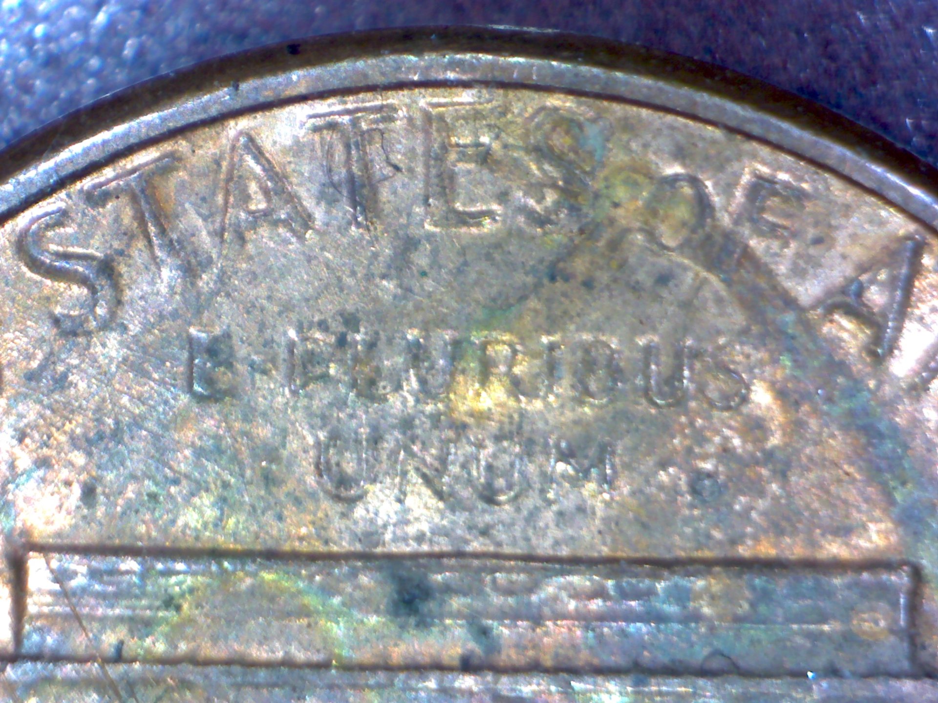 Image703.jpg