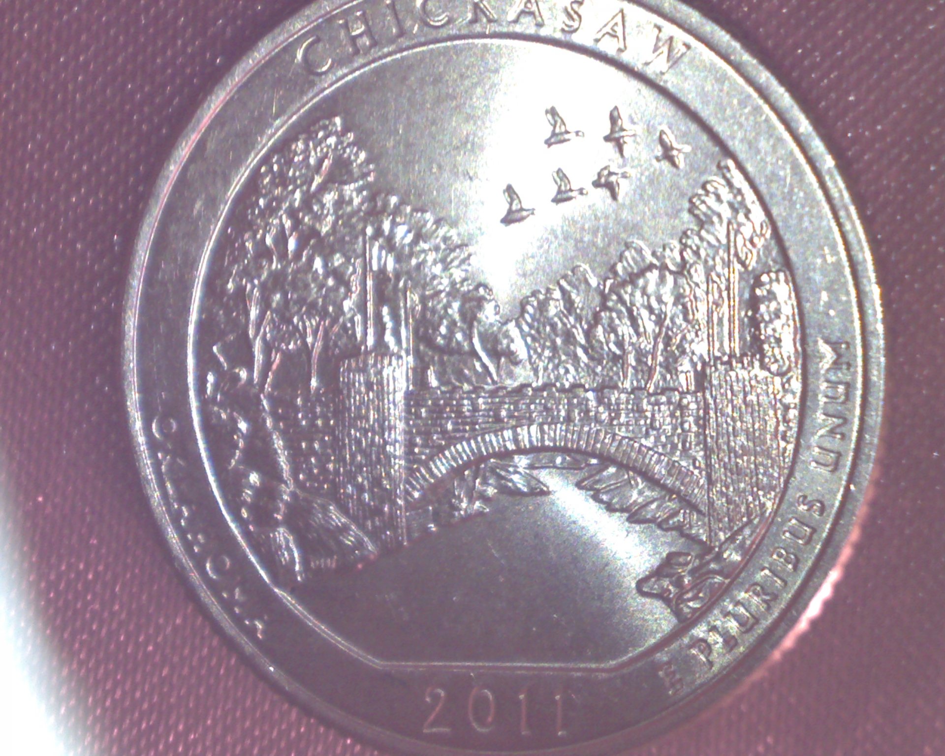 Image741.jpg
