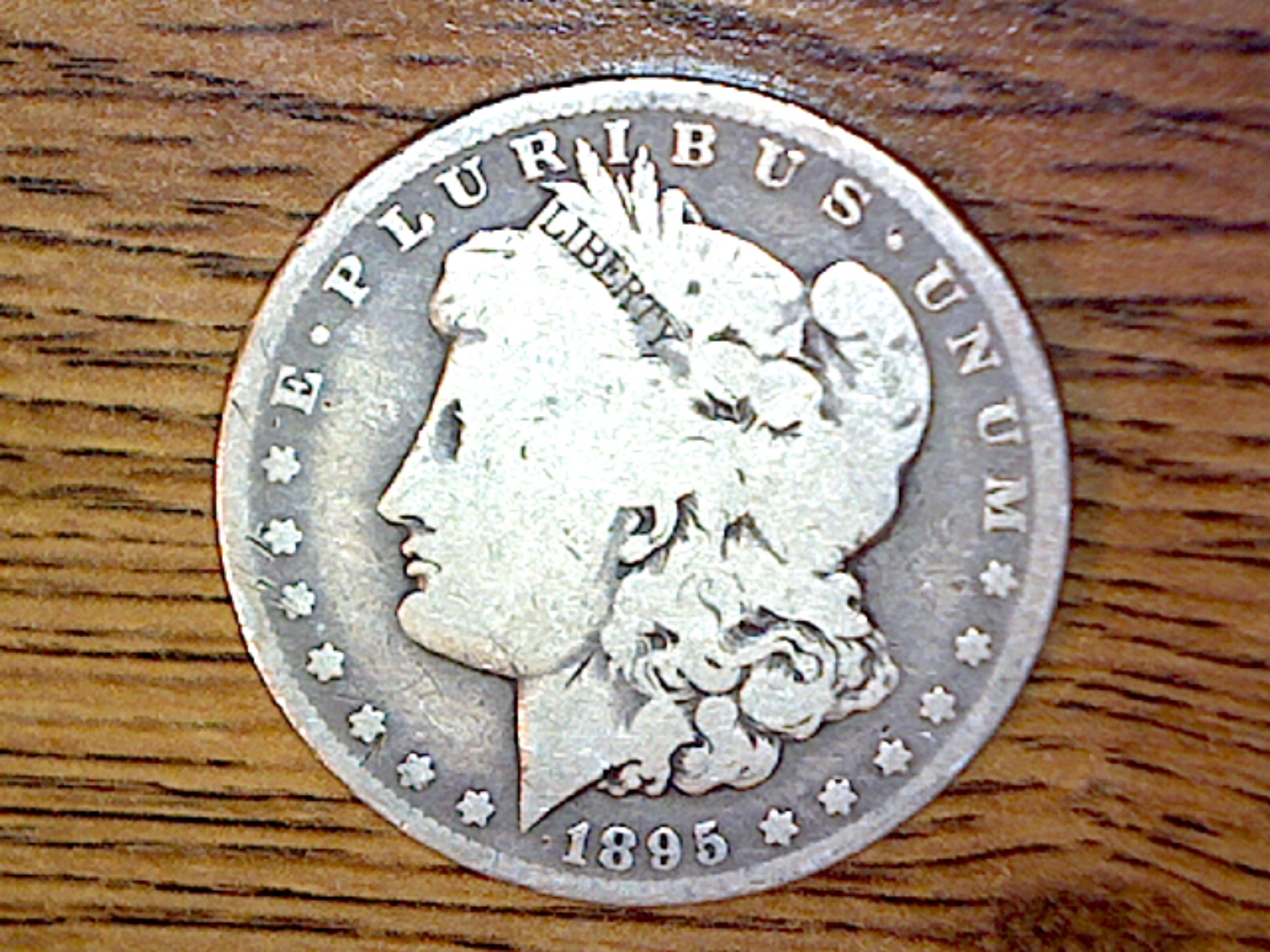 Image773.jpg