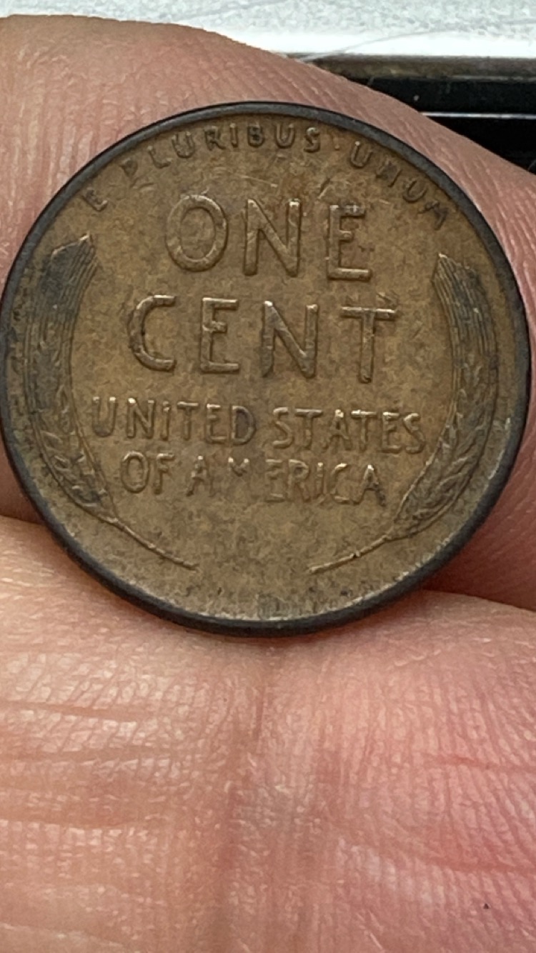 image9.jpeg