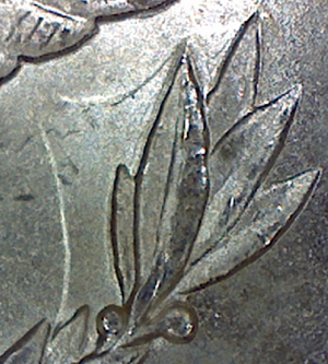 Image9.jpg