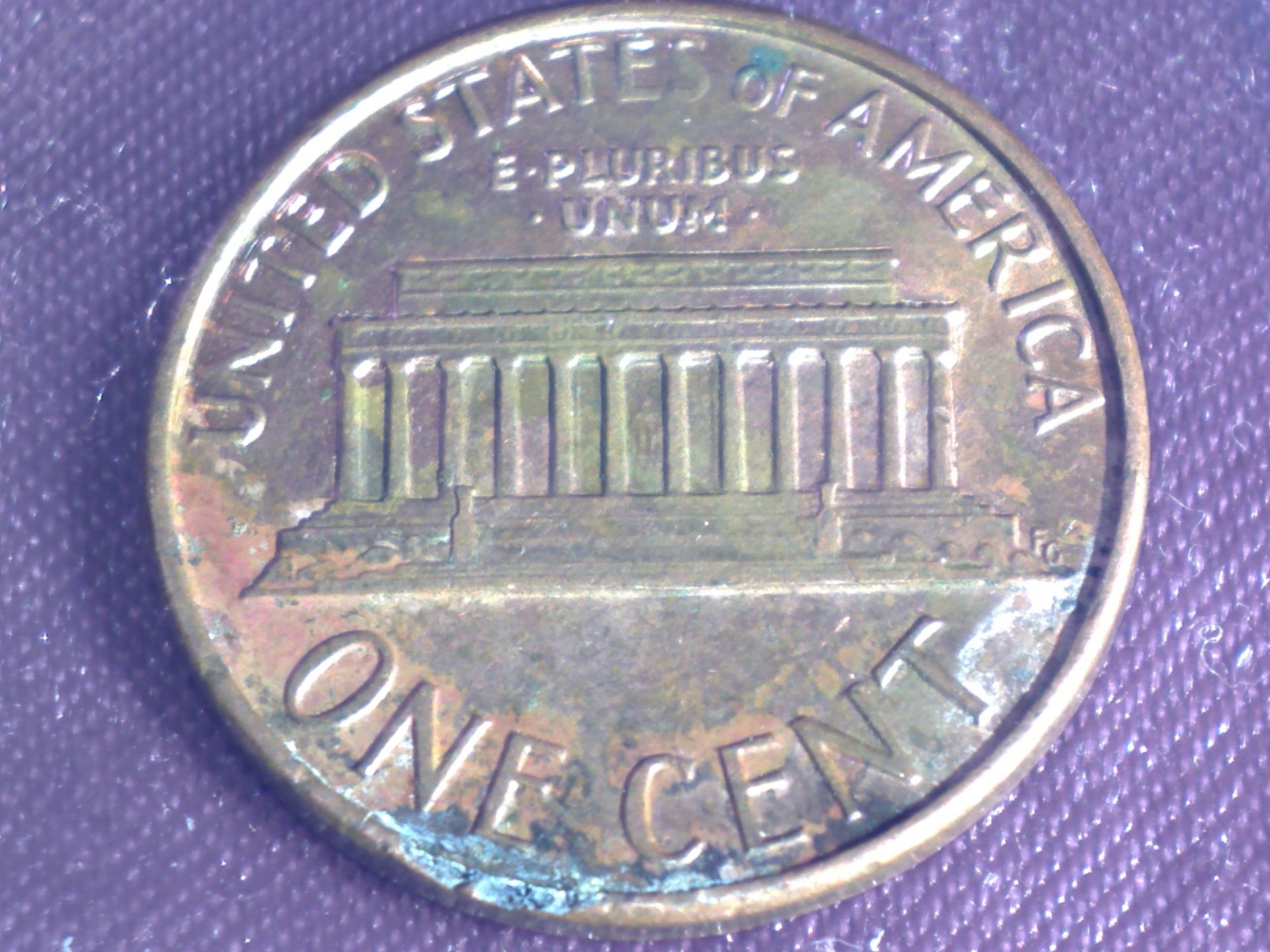 Image965.jpg