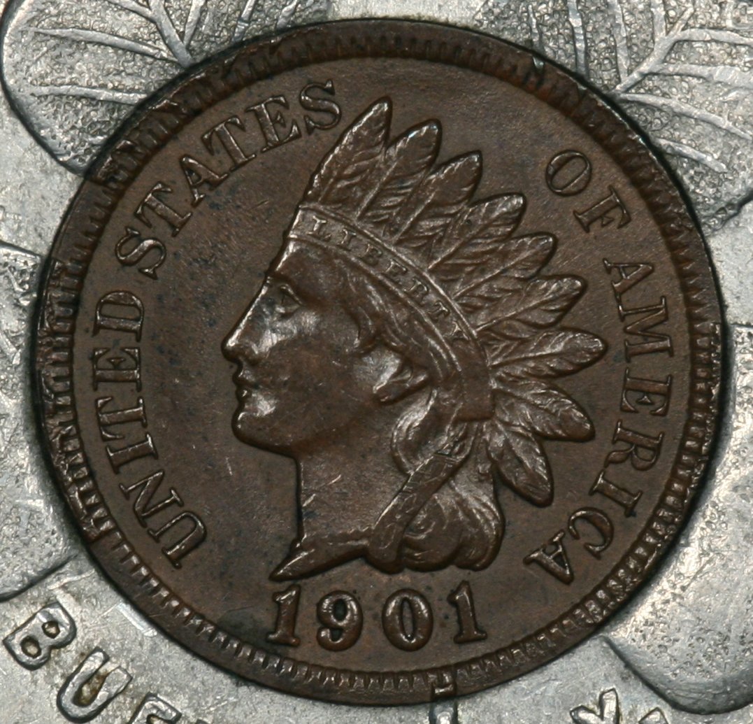 Image_0205crop.jpg