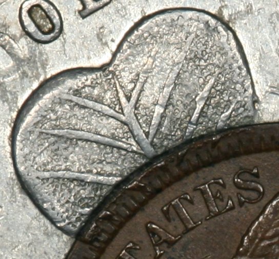 Image_0205crop2.jpg