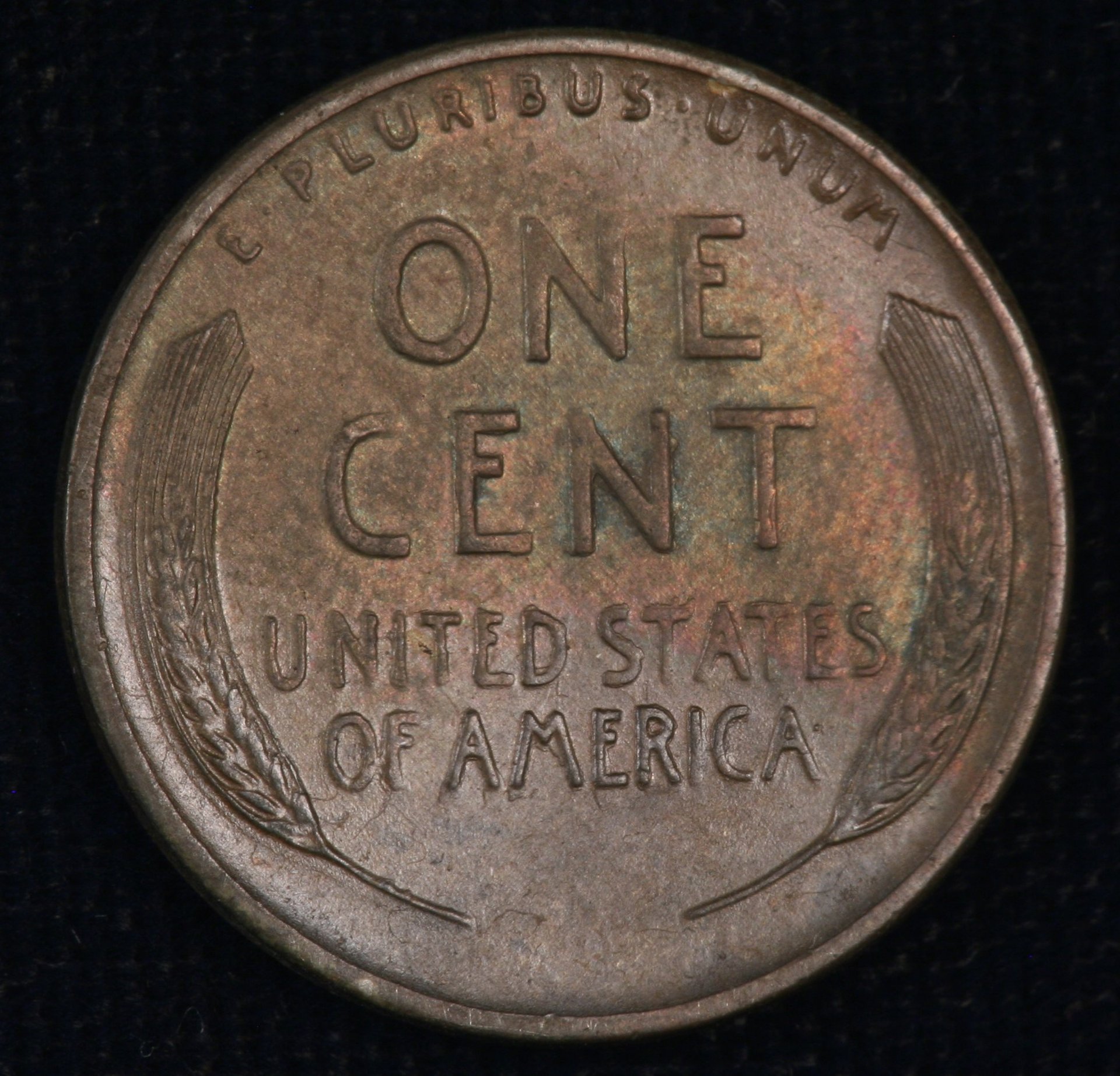Image_1160.JPG