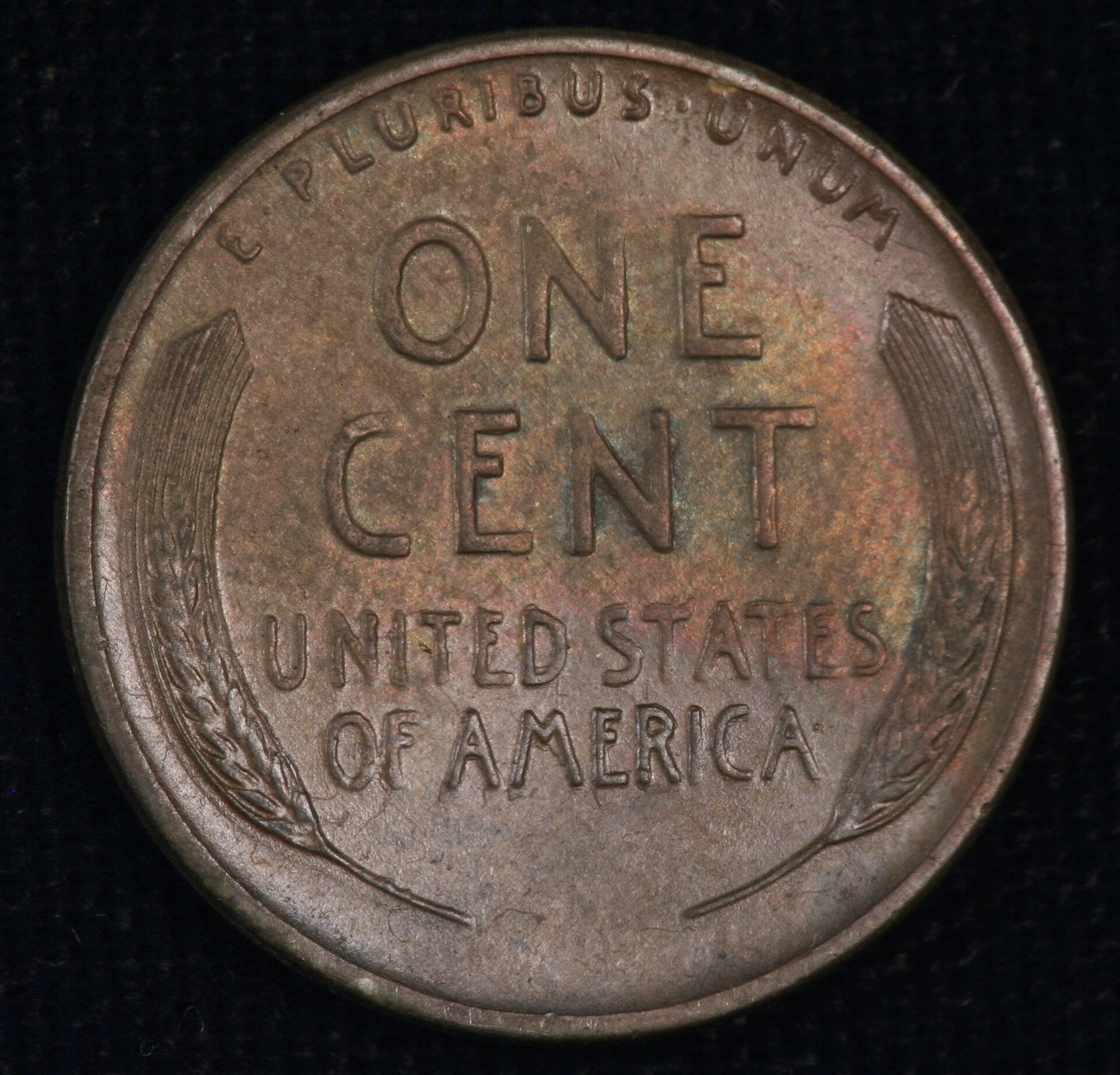Image_1160.JPG