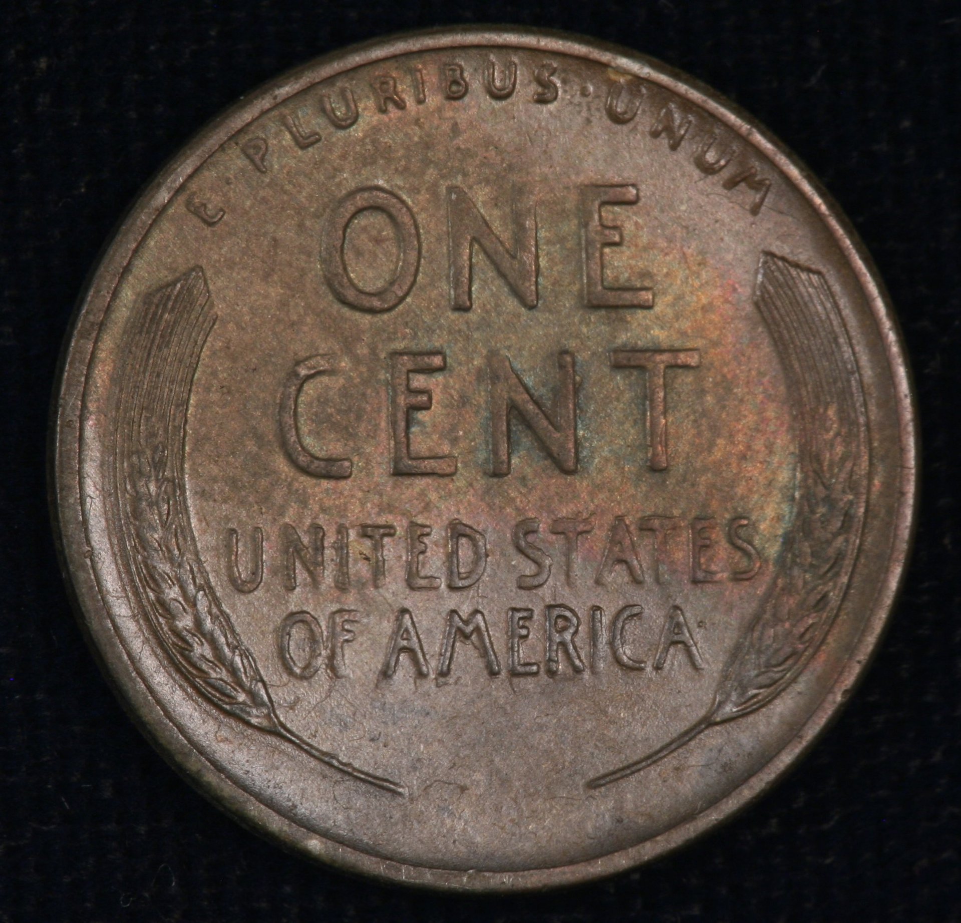 Image_1160.JPG
