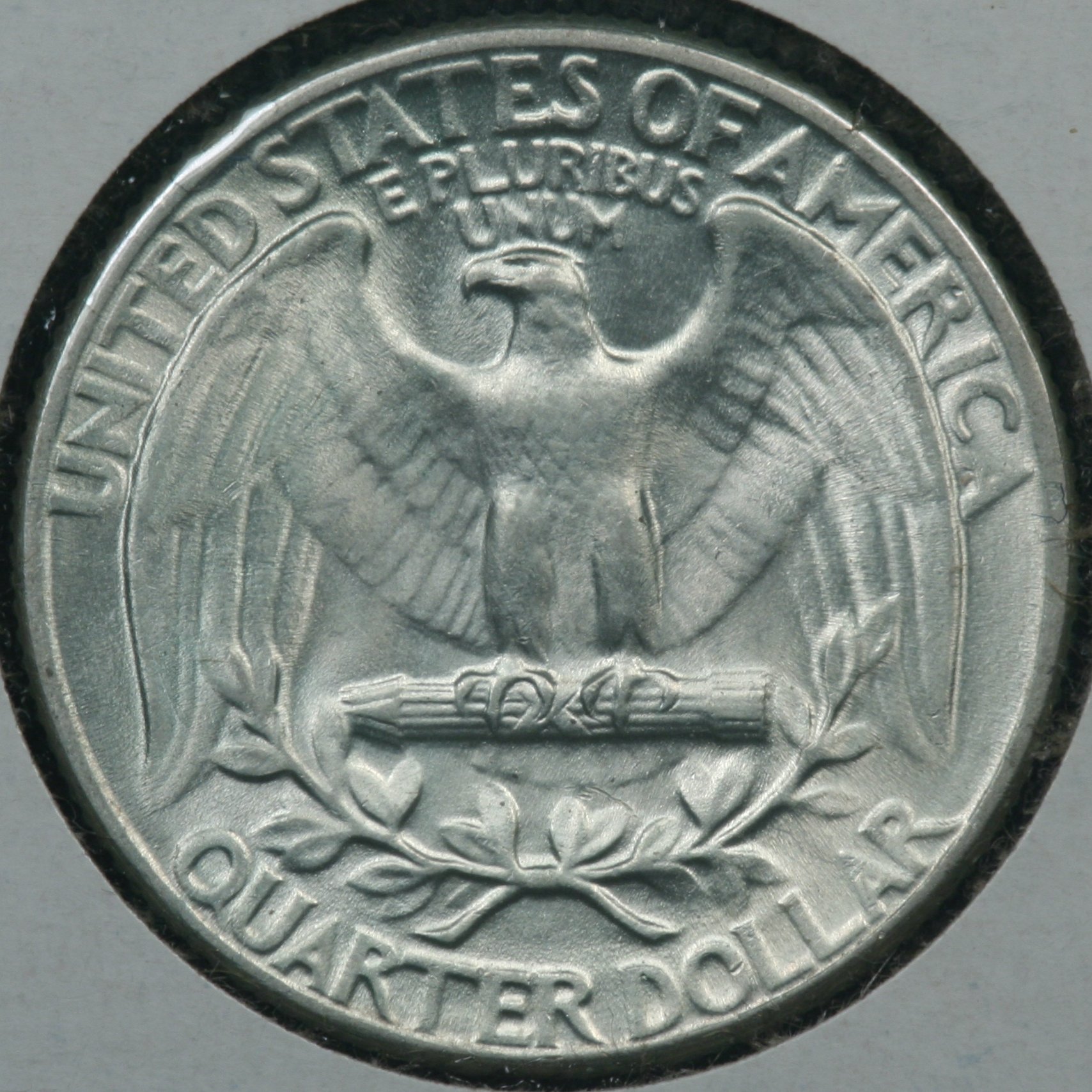 Image_1279.JPG