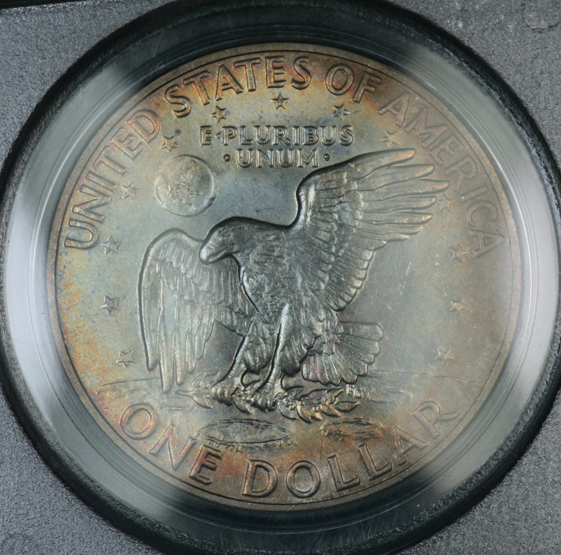Image_1339.JPG