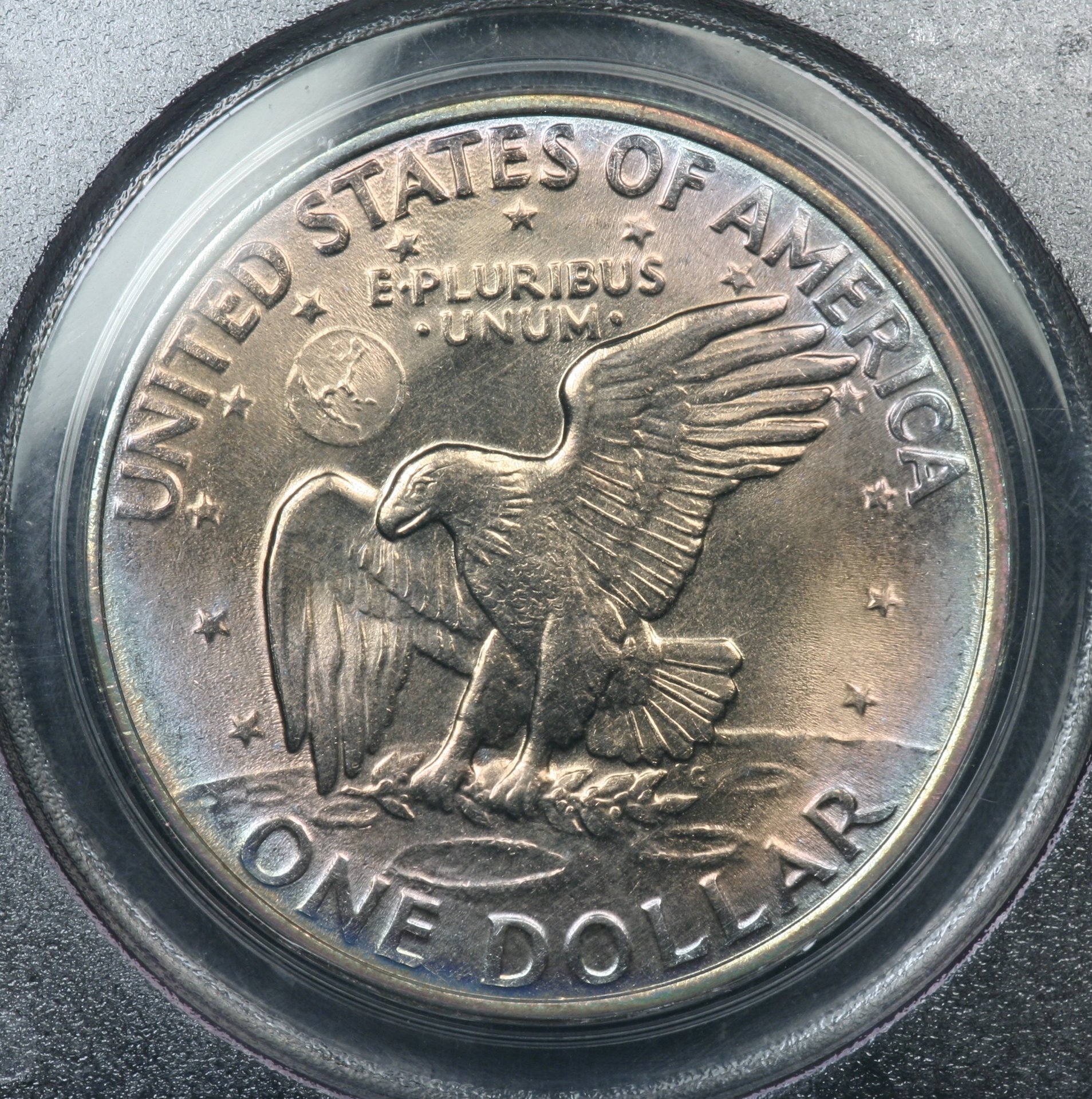 Image_1343.JPG