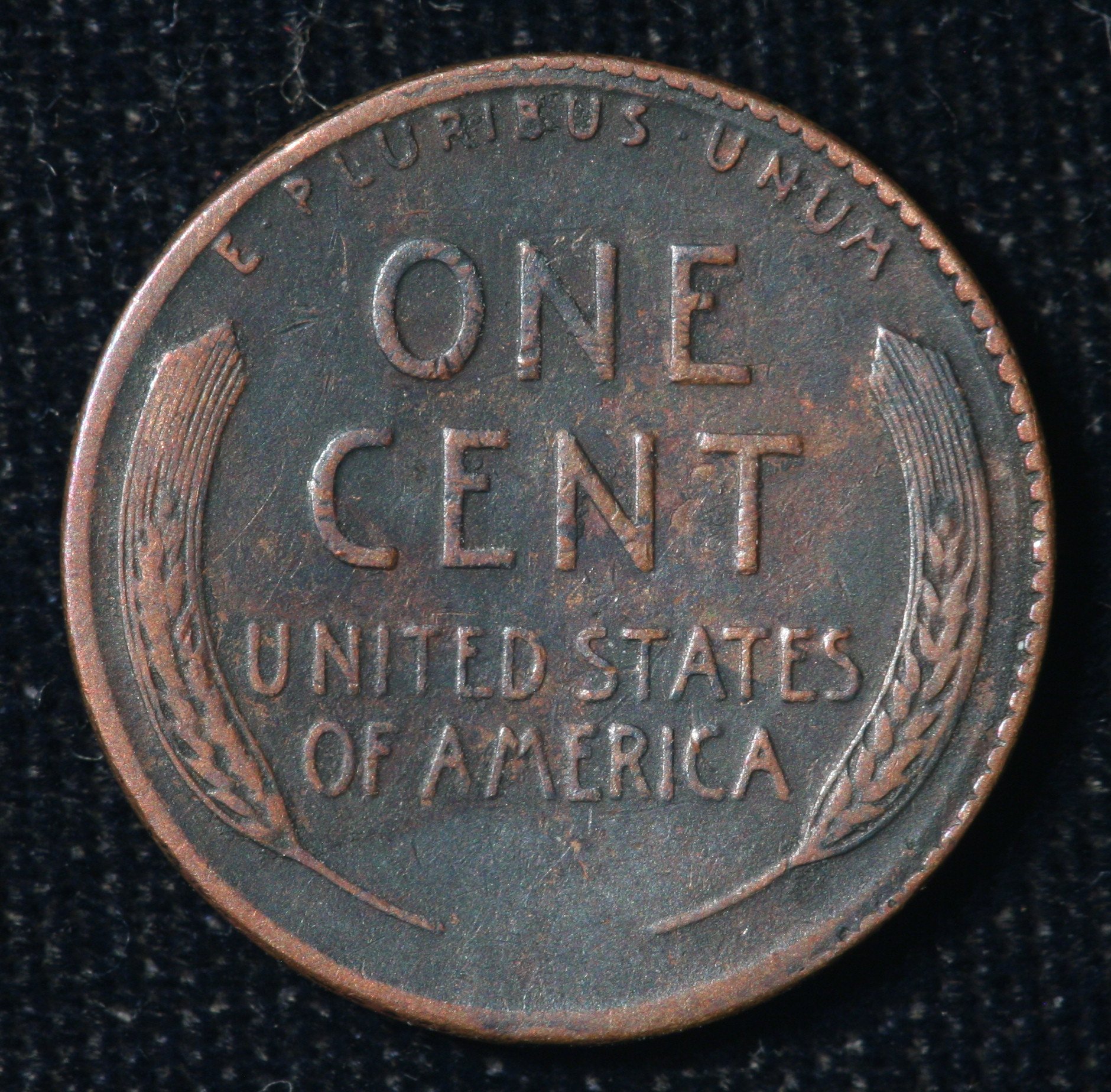 Image_1503.JPG