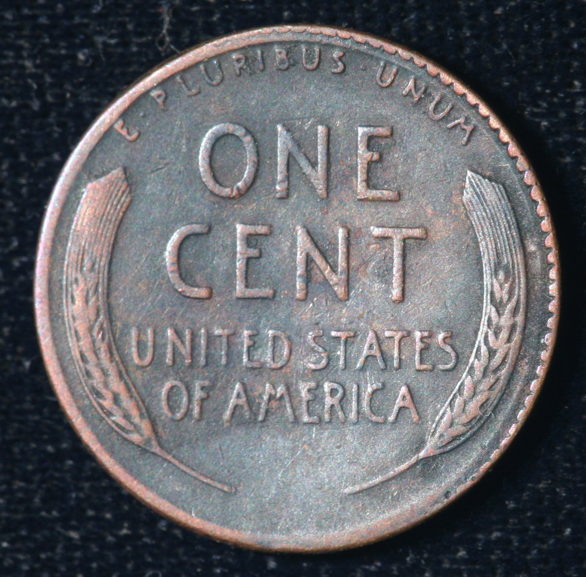 Image_1506.JPG