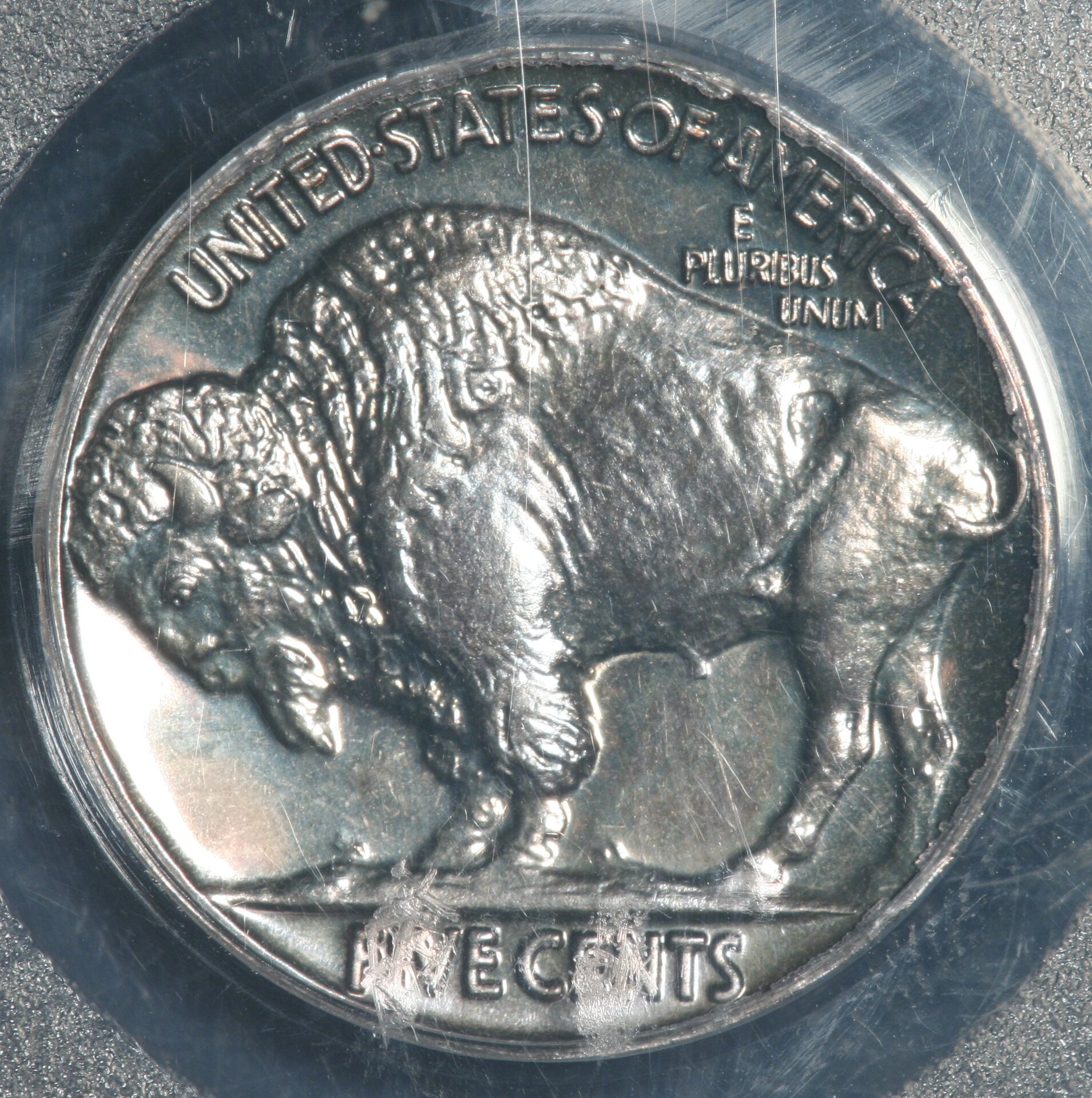 Image_1553.JPG