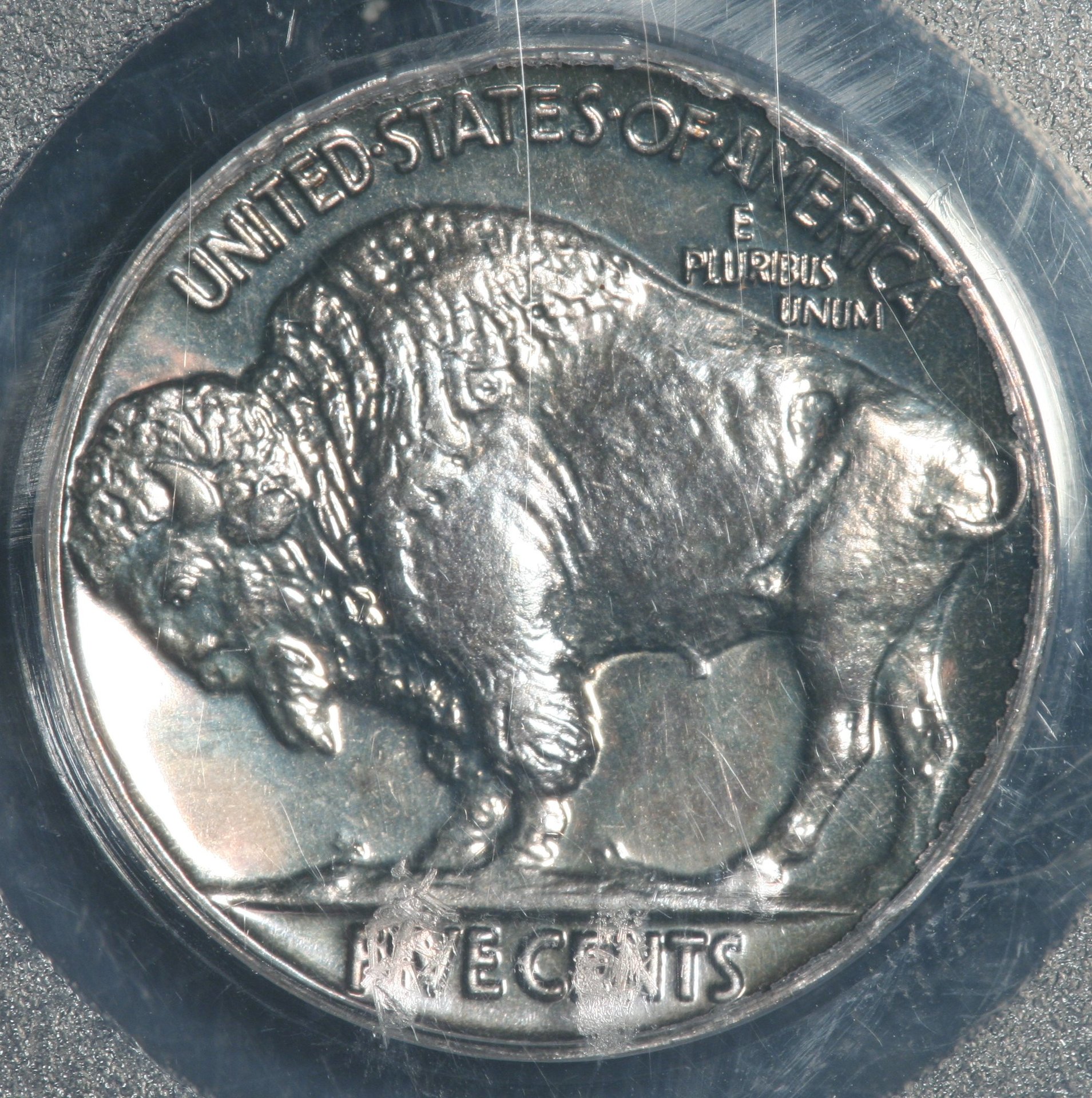 Image_1553.JPG