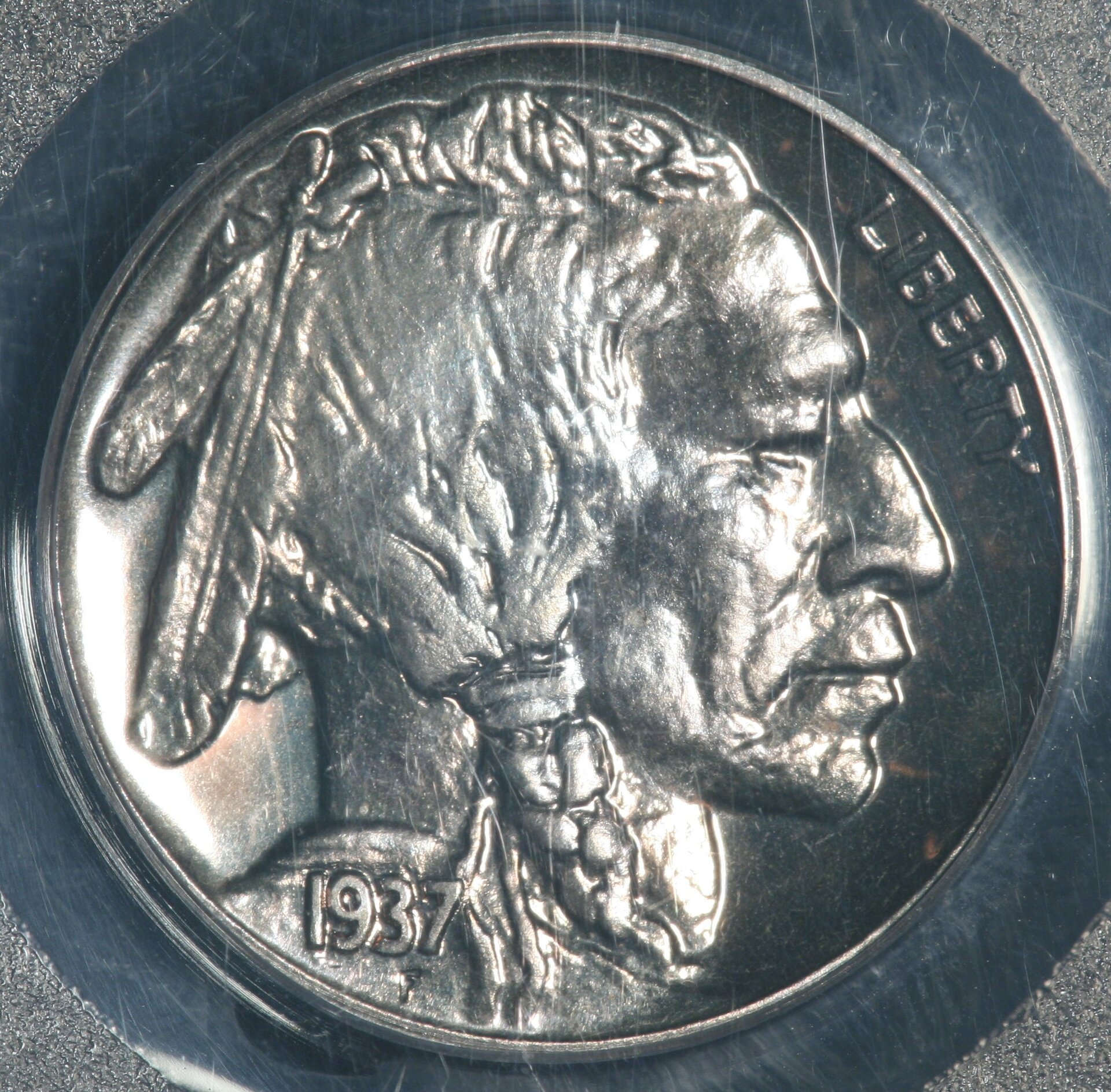 Image_1557.JPG