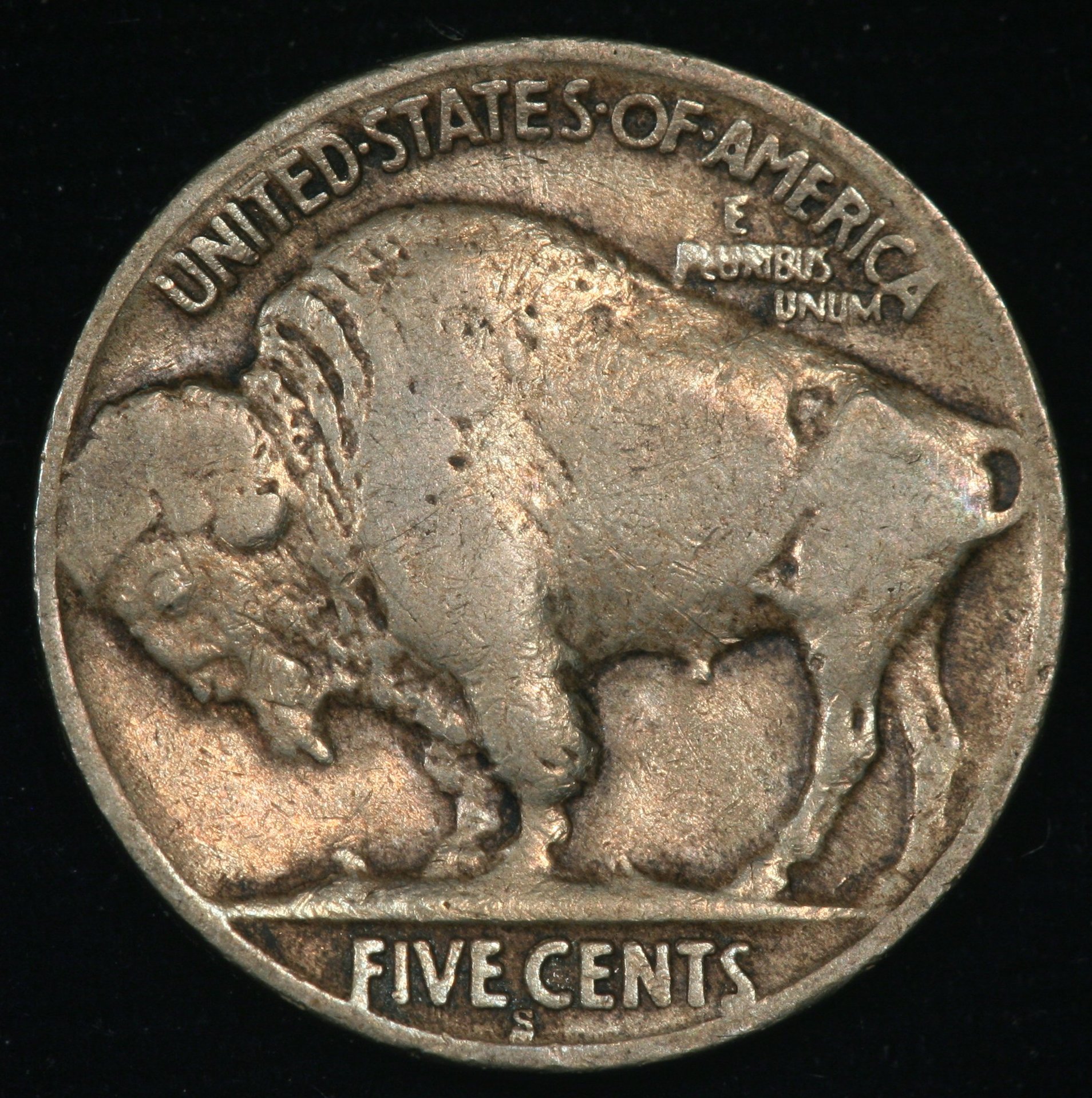 Image_1567.JPG