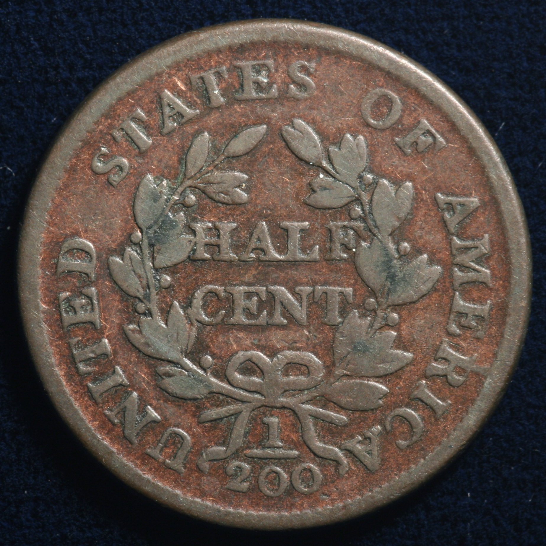 Image_1609.JPG