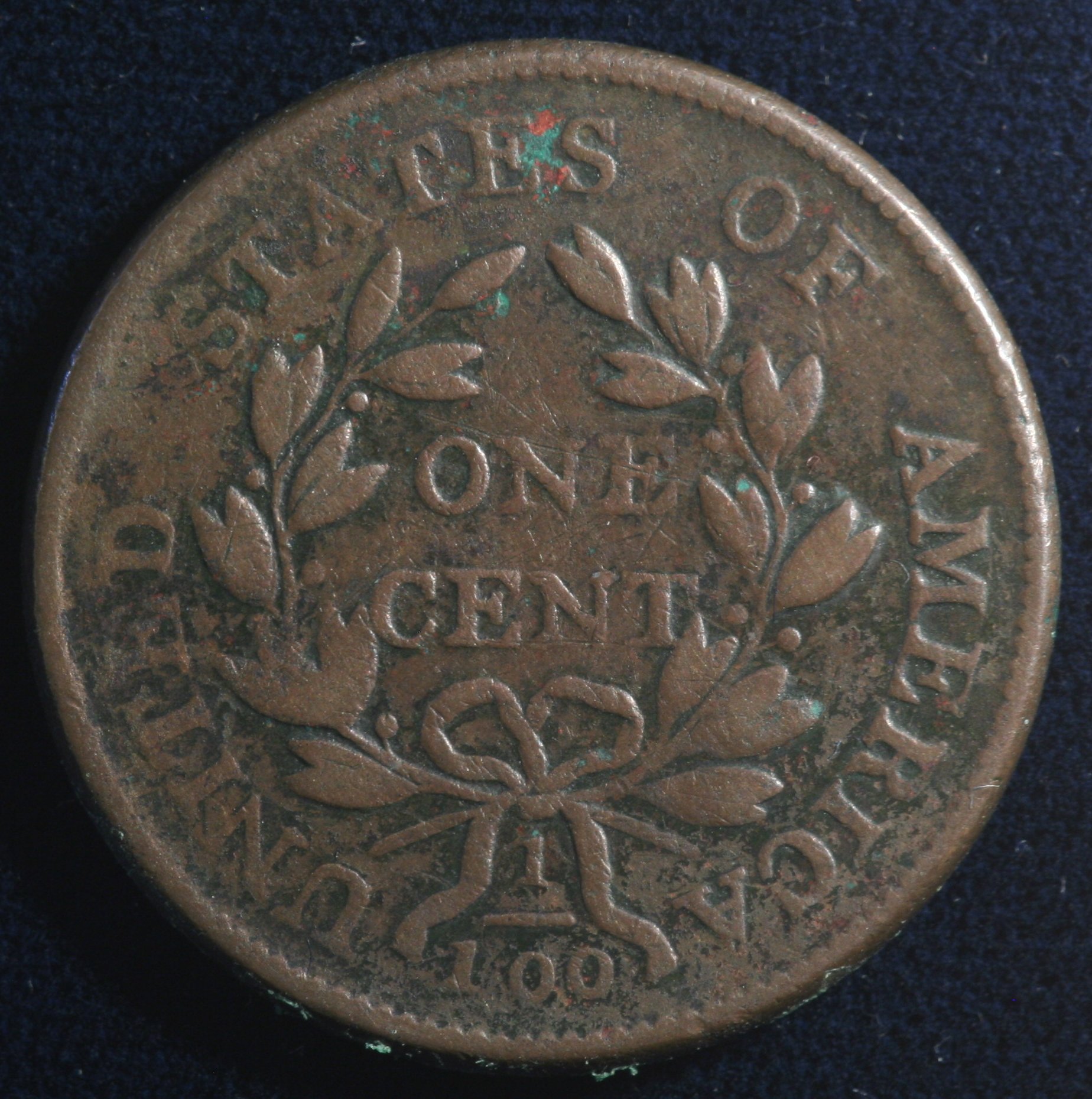 Image_1675.JPG