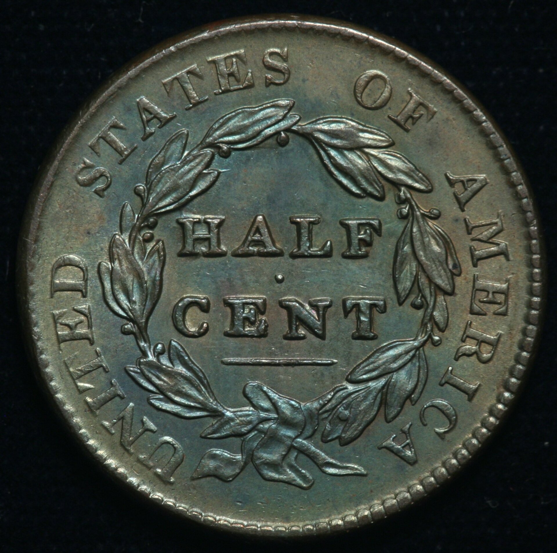 Image_1735.JPG