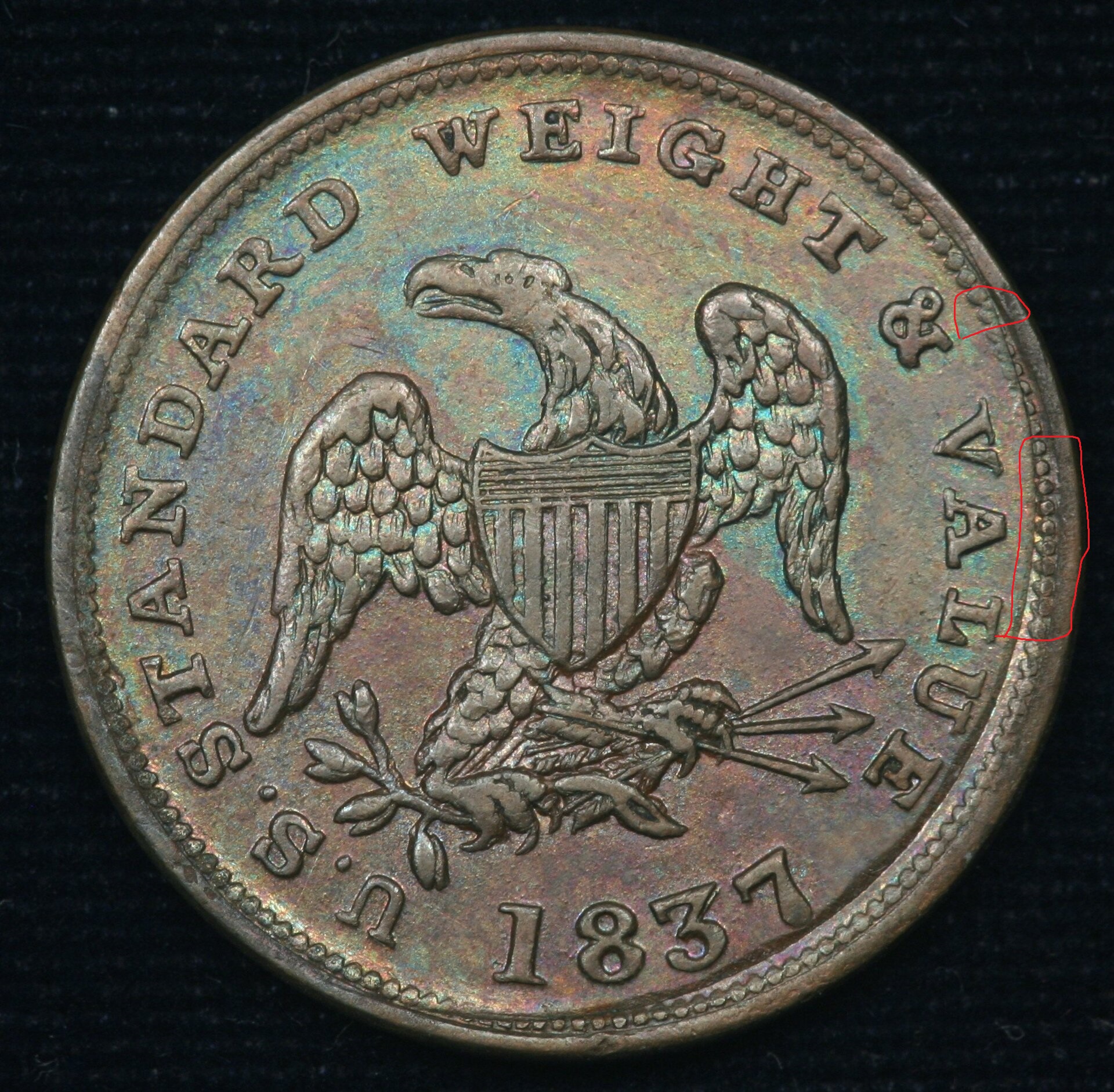 Image_1738.JPG