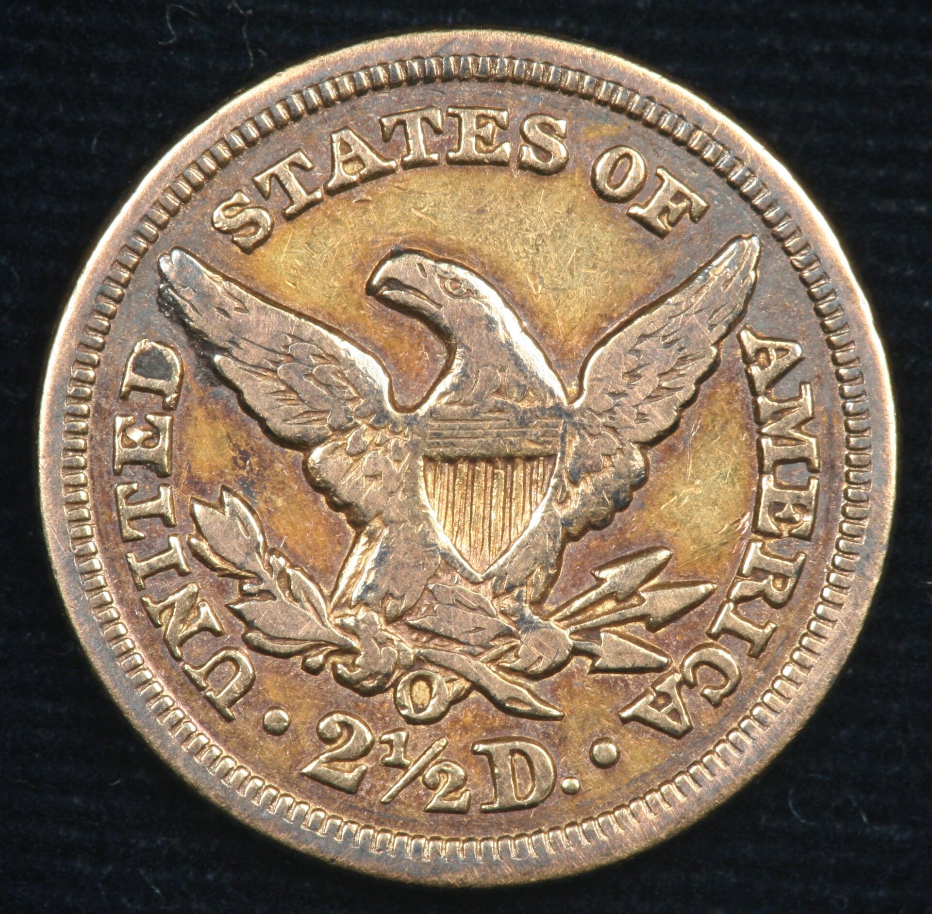 Image_1751.JPG