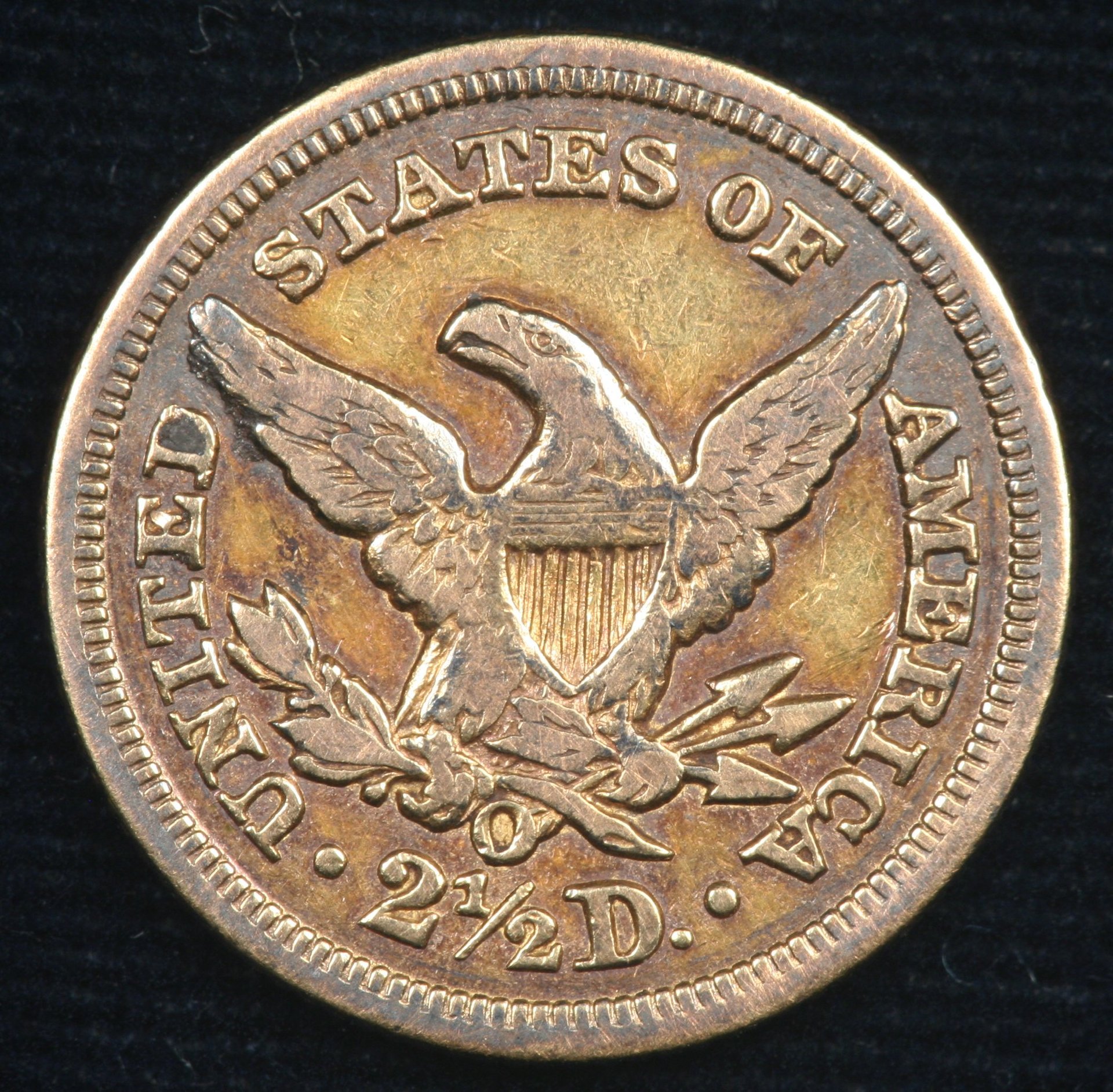 Image_1751.JPG