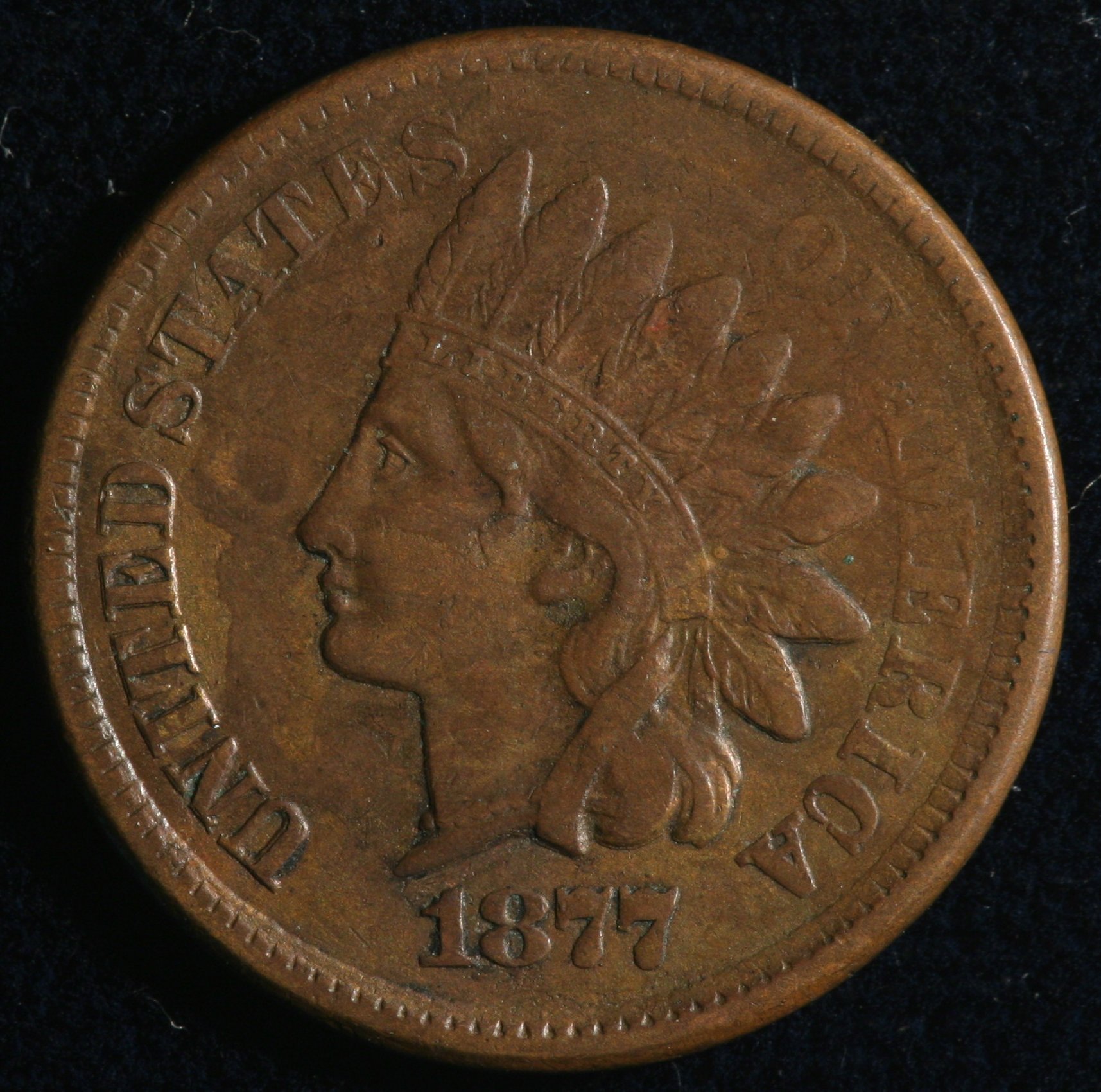 Image_1804.JPG