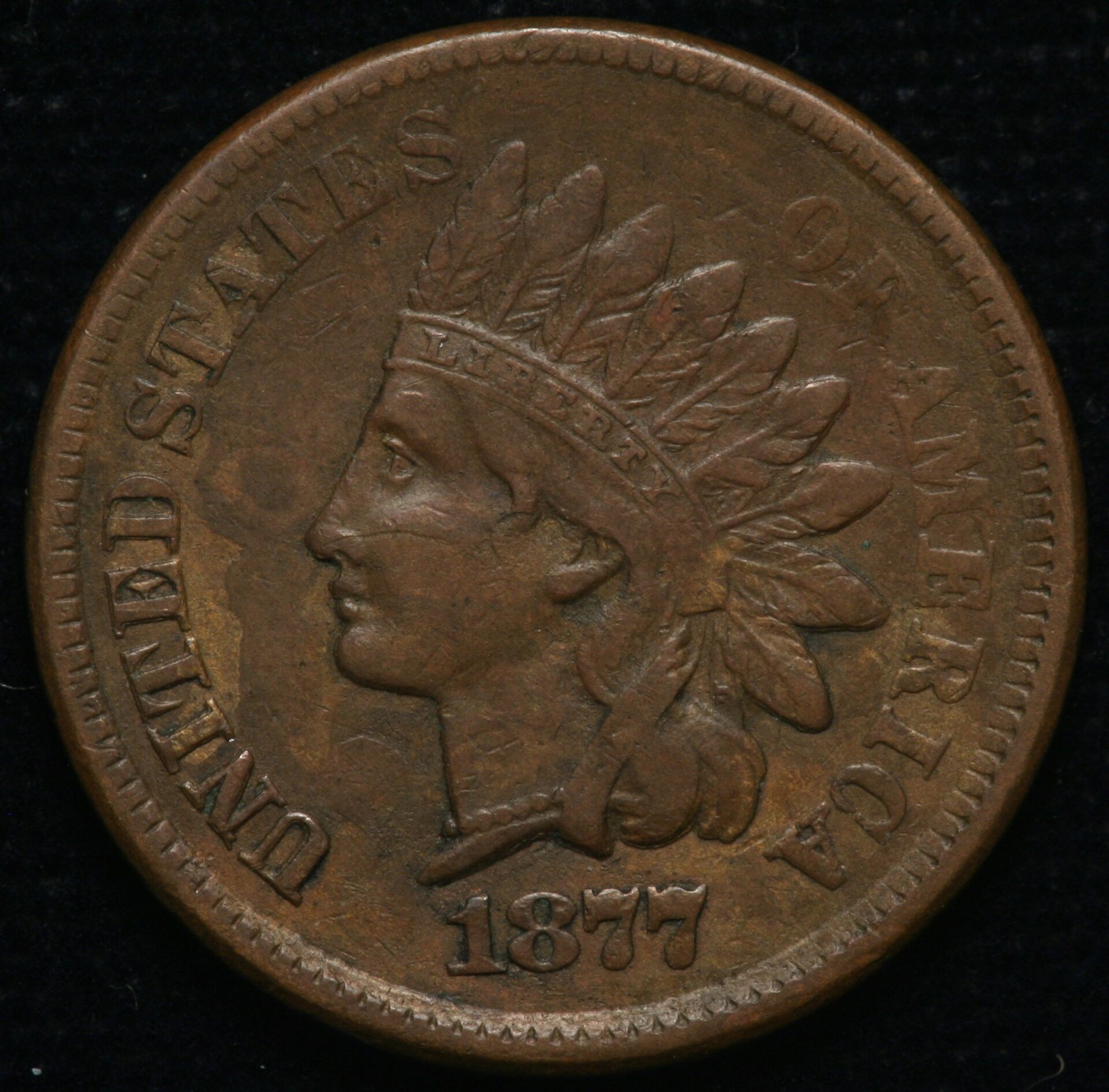 Image_1854.JPG