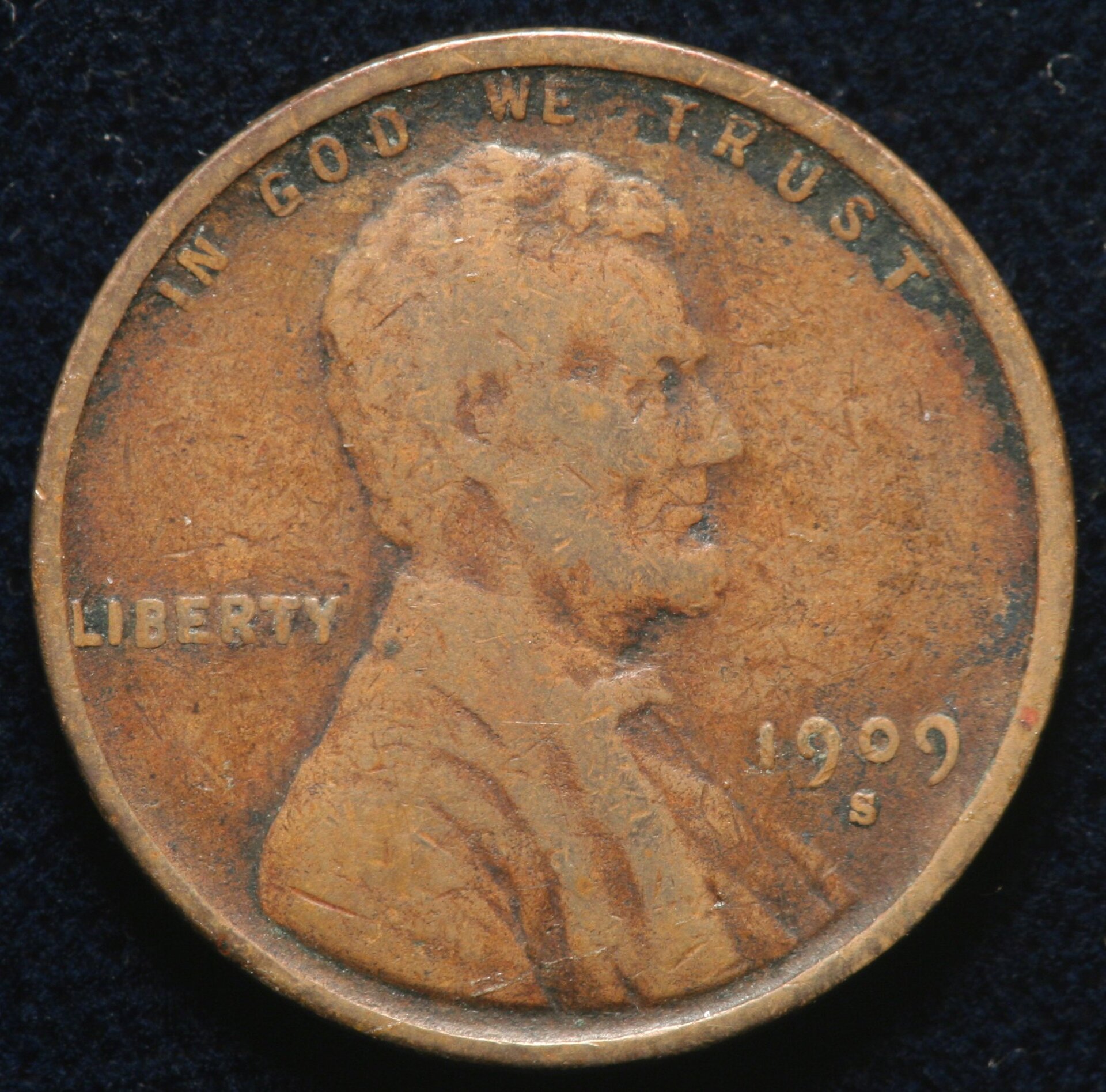 Image_1865.JPG