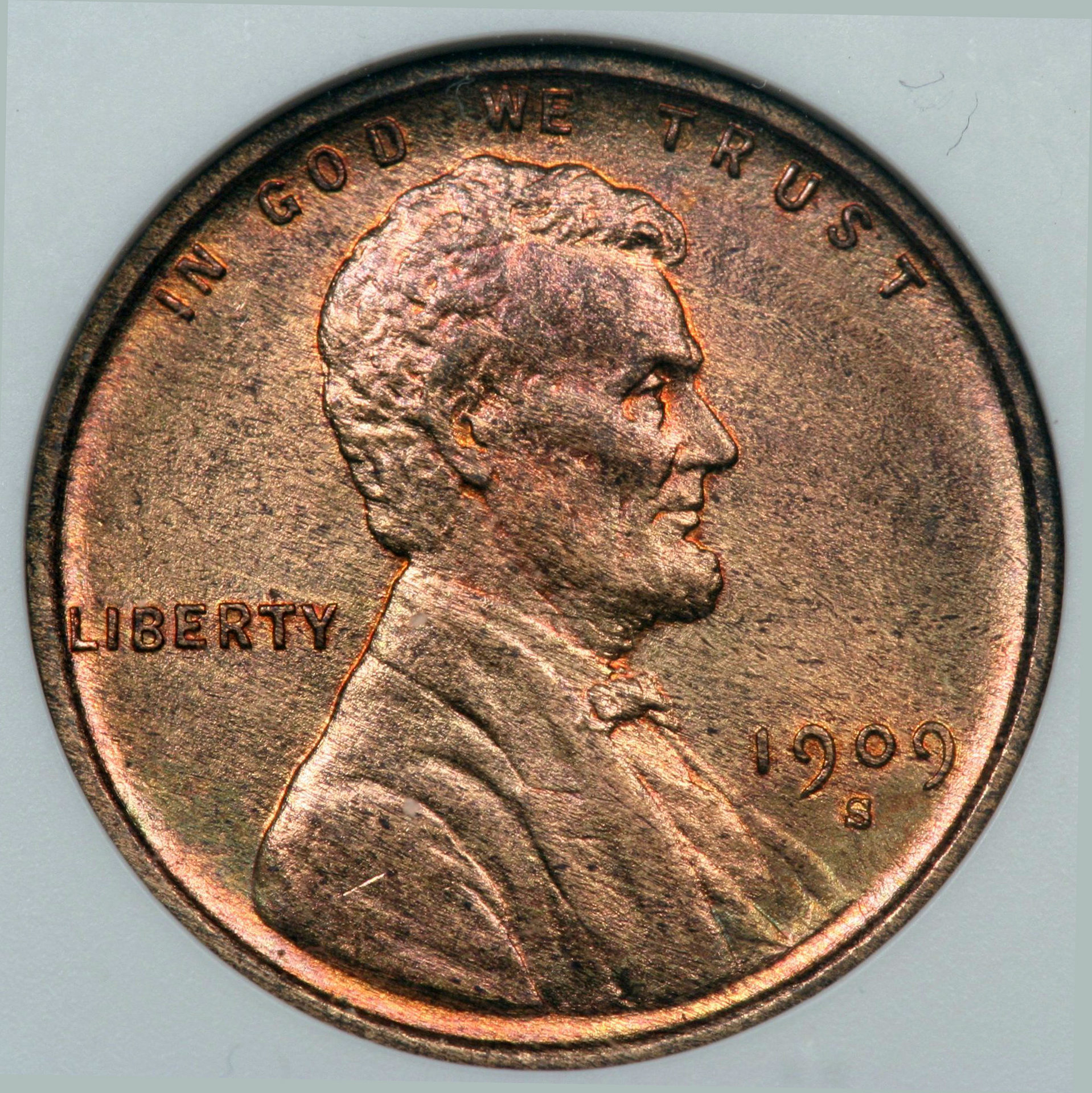 Image_1892.JPG