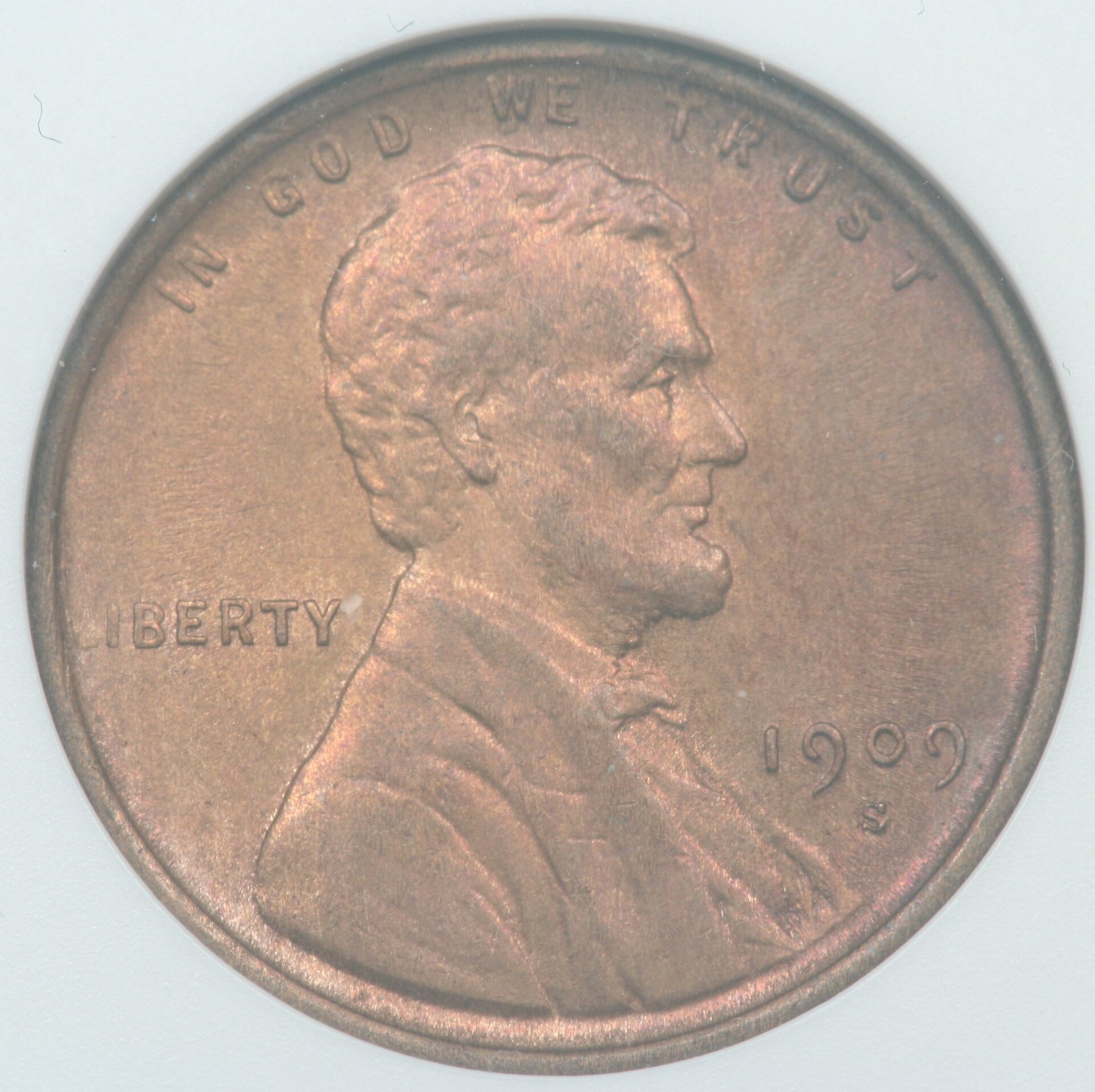 Image_1897.JPG