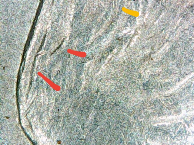 Image_2020-01-13 19_56_14_297~2.JPG