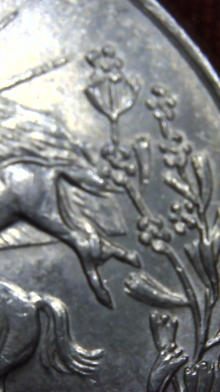 Image_2020-07-03 21_37_50_732.JPG