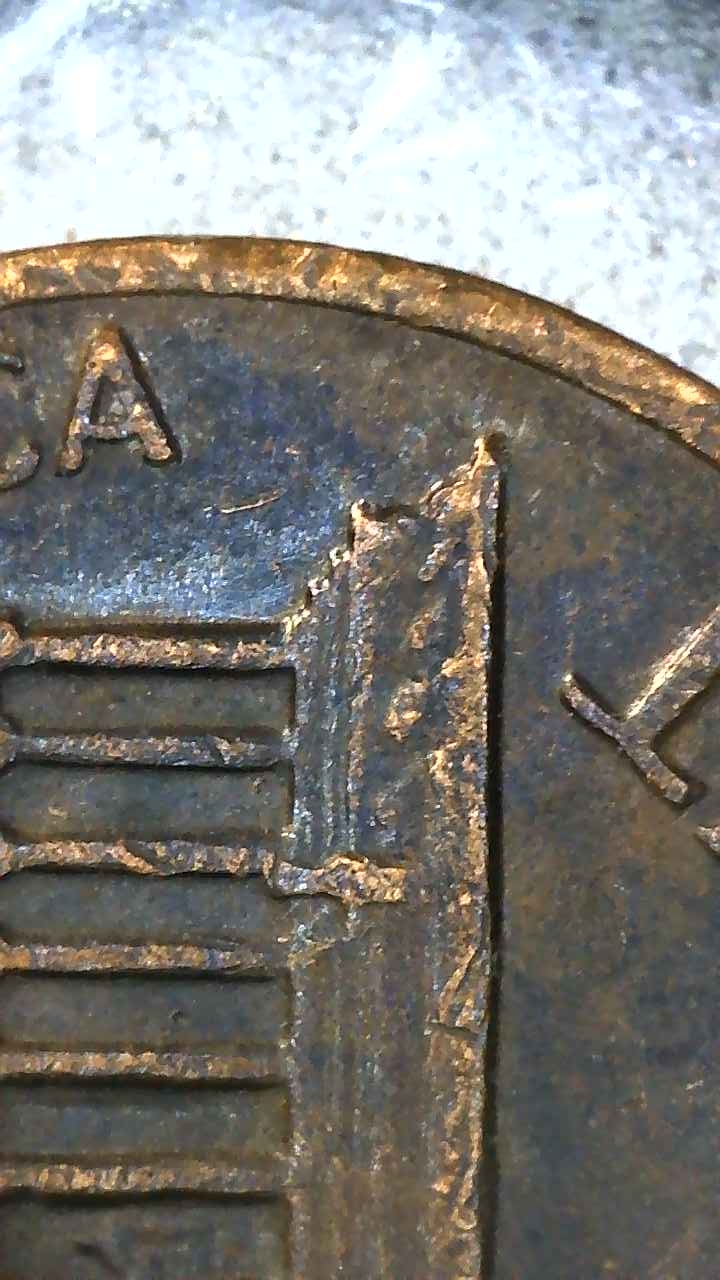 Image_2021-11-24 19_52_18_566.JPG
