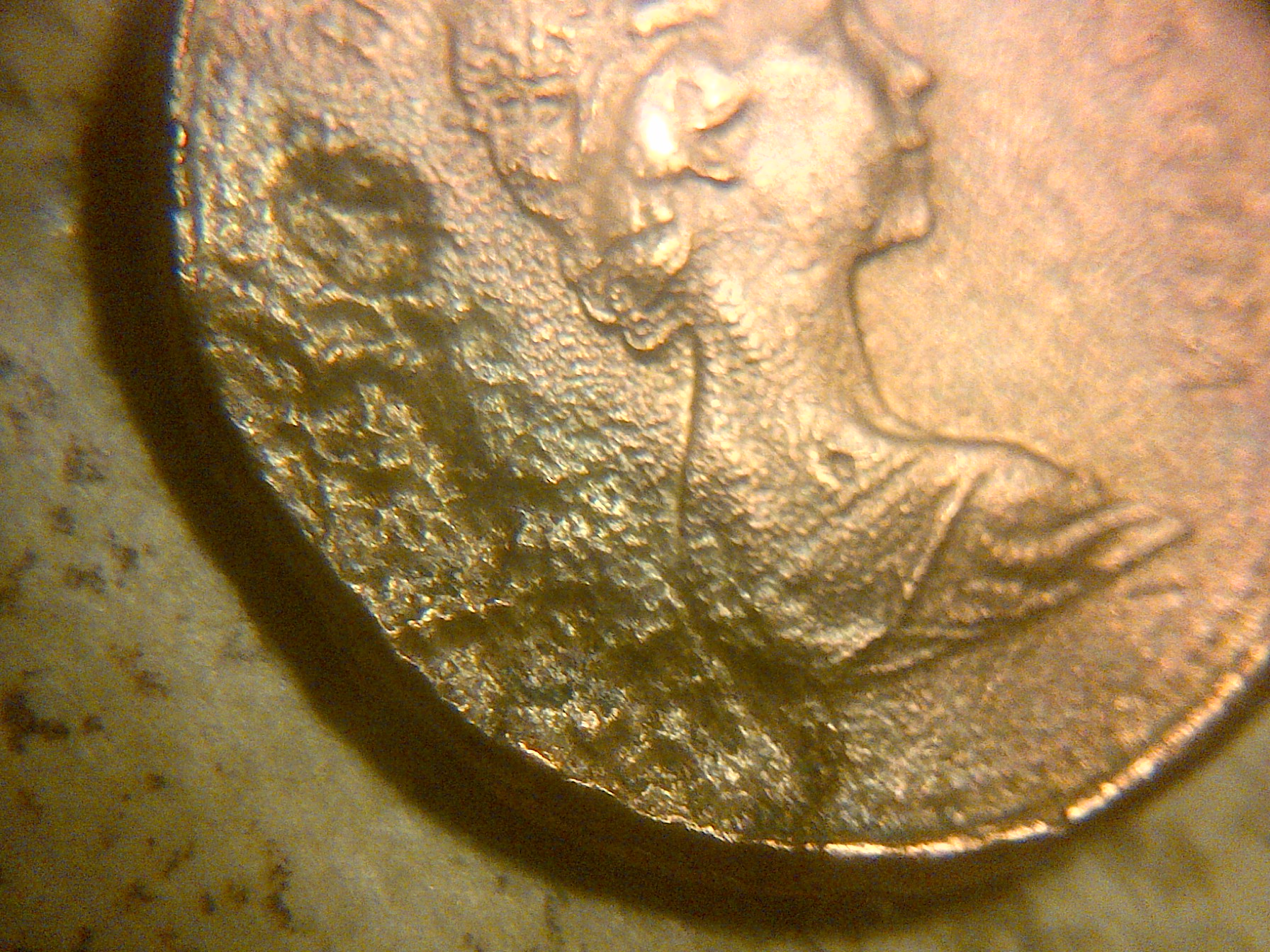 IMG-20140116-07453.jpg