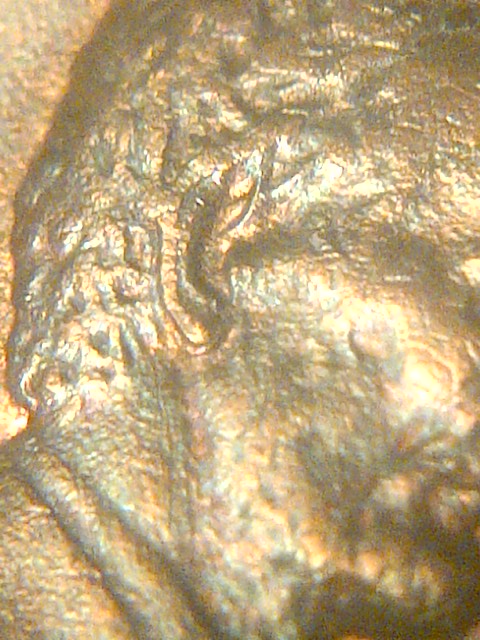 IMG-20140117-07479.jpg