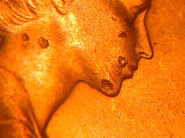 IMG-20140119-07516.jpg