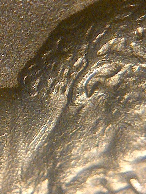 IMG-20140125-07692.jpg