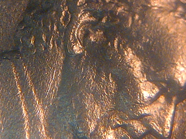 IMG-20140125-07699.jpg