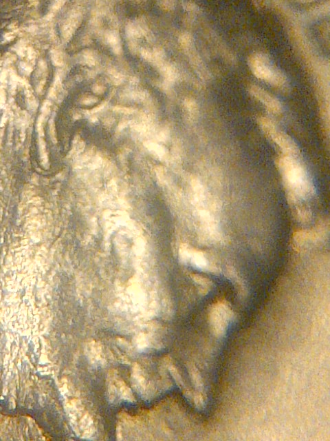 IMG-20140125-07705.jpg