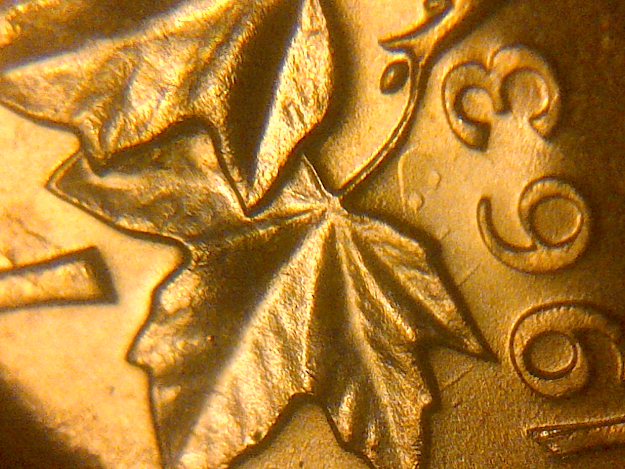 IMG-20140217-08655.jpg