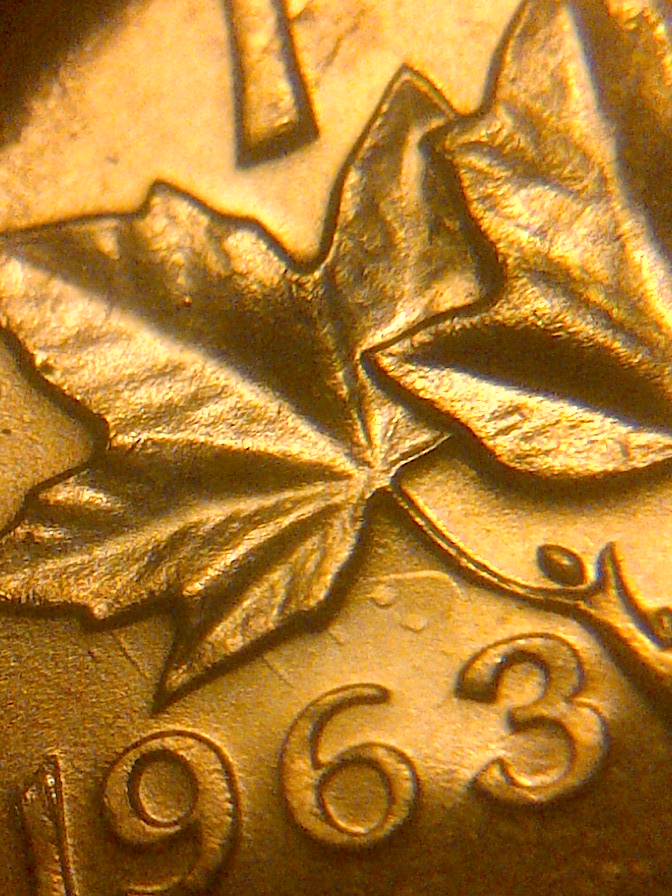 IMG-20140217-08655.jpg